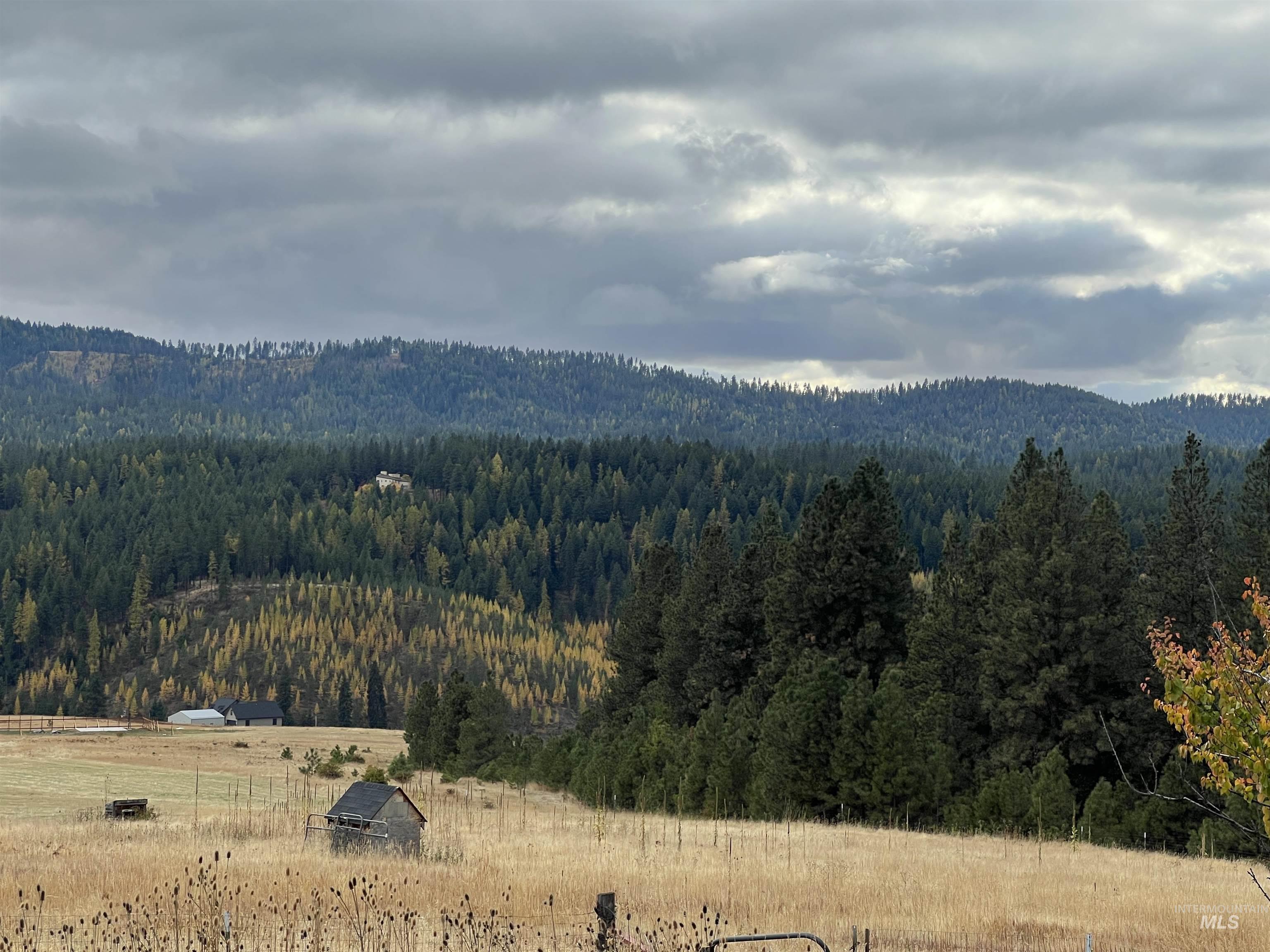 TBD Liberty Ln, Viola, Idaho 83872-5102, Land For Sale, Price $300,000, 98904915