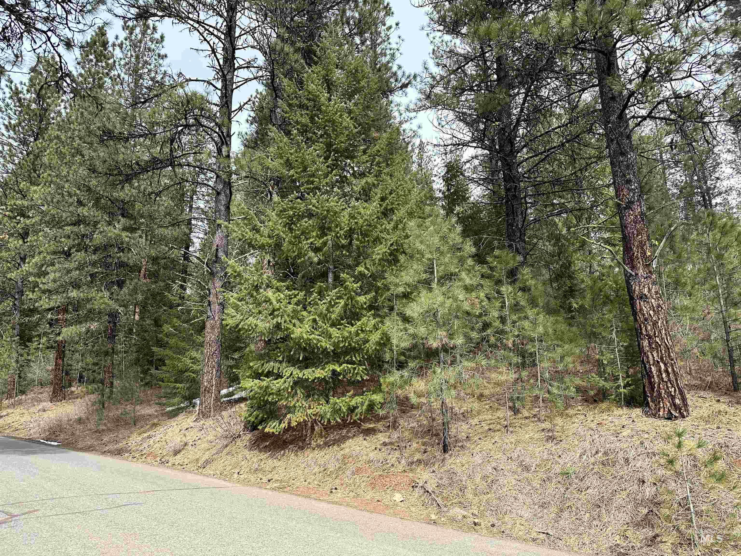 Lot 5 Blk 1 Kimberland Drive, New Meadows, Idaho 83654, Land For Sale, Price $80,000,MLS 98904997