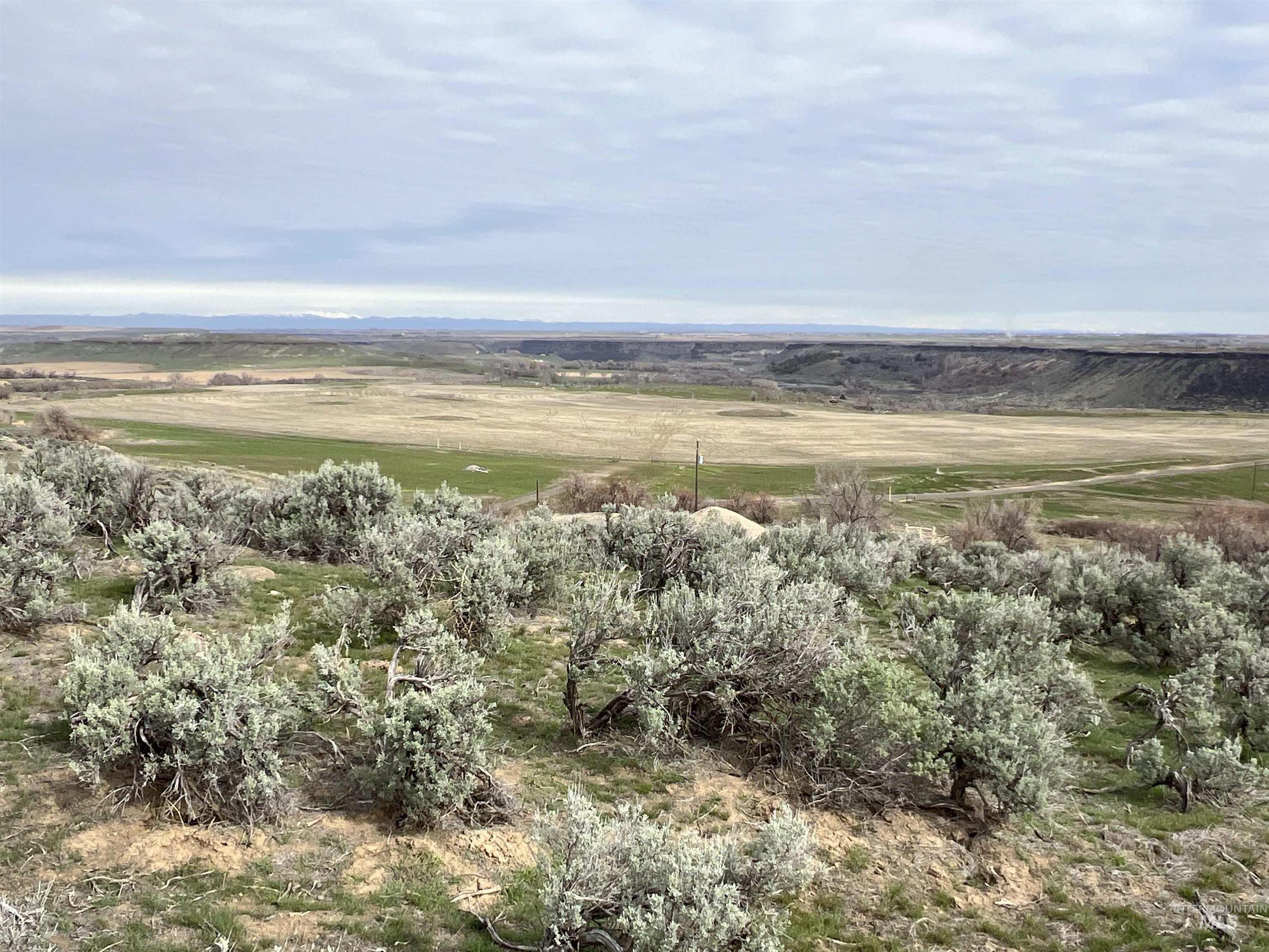 Approx. 19206 Highway 30, Buhl, Idaho 83316, Land For Sale, Price $4,500,000,MLS 98905405
