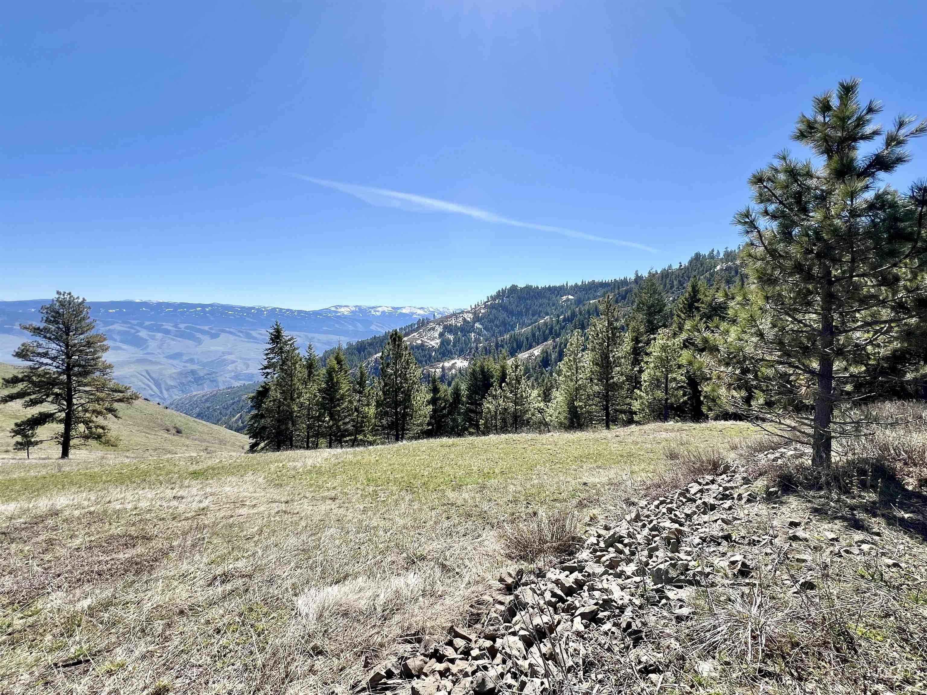 TBD Lot 50 Twin River Ranch III, White Bird, Idaho 83554, Land For Sale, Price $147,000, 98905437