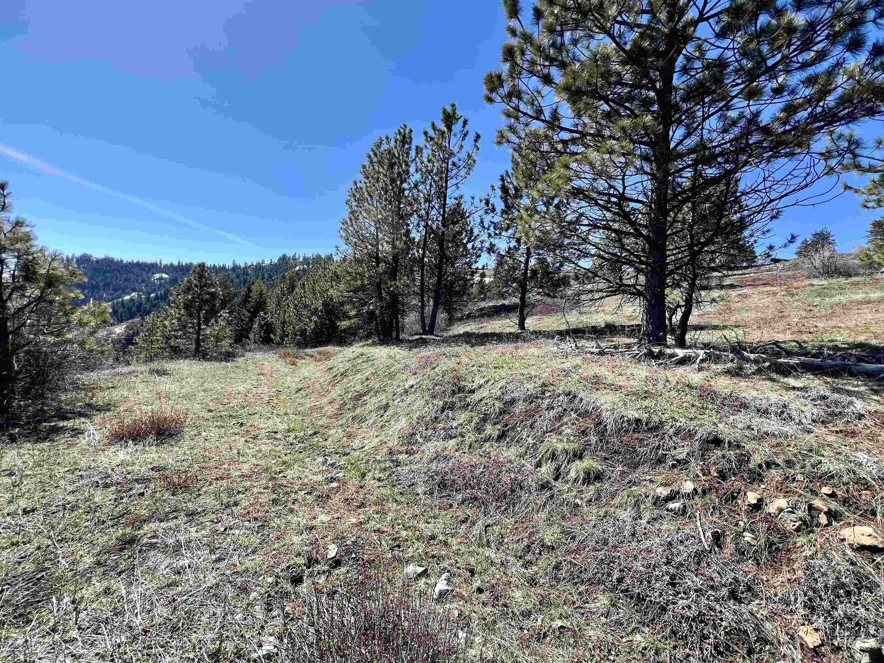 TBD Lot 50 Twin River Ranch III, White Bird, Idaho 83554, Land For Sale, Price $147,000, 98905437