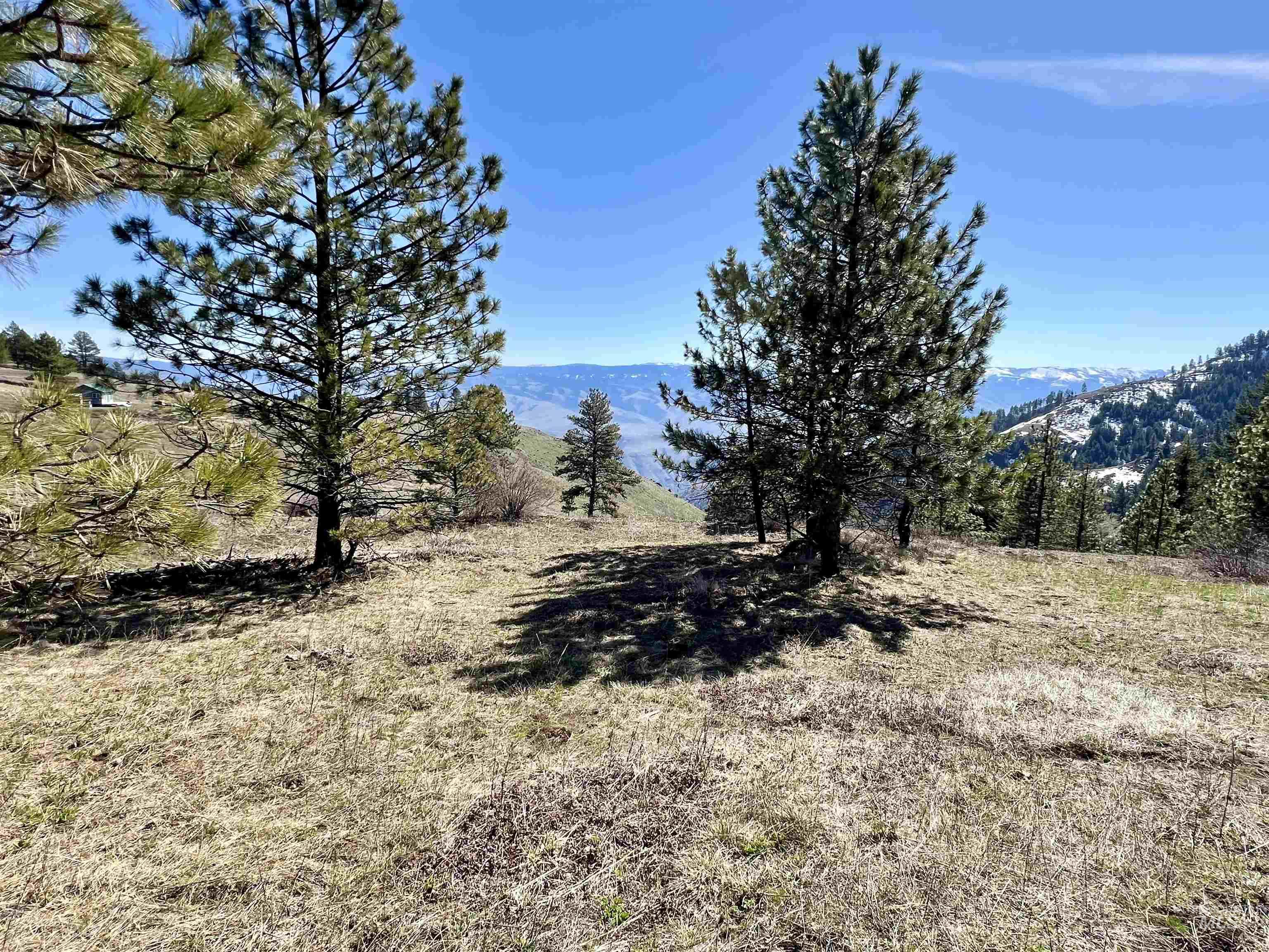 TBD Lot 50 Twin River Ranch III, White Bird, Idaho 83554, Land For Sale, Price $147,000, 98905437