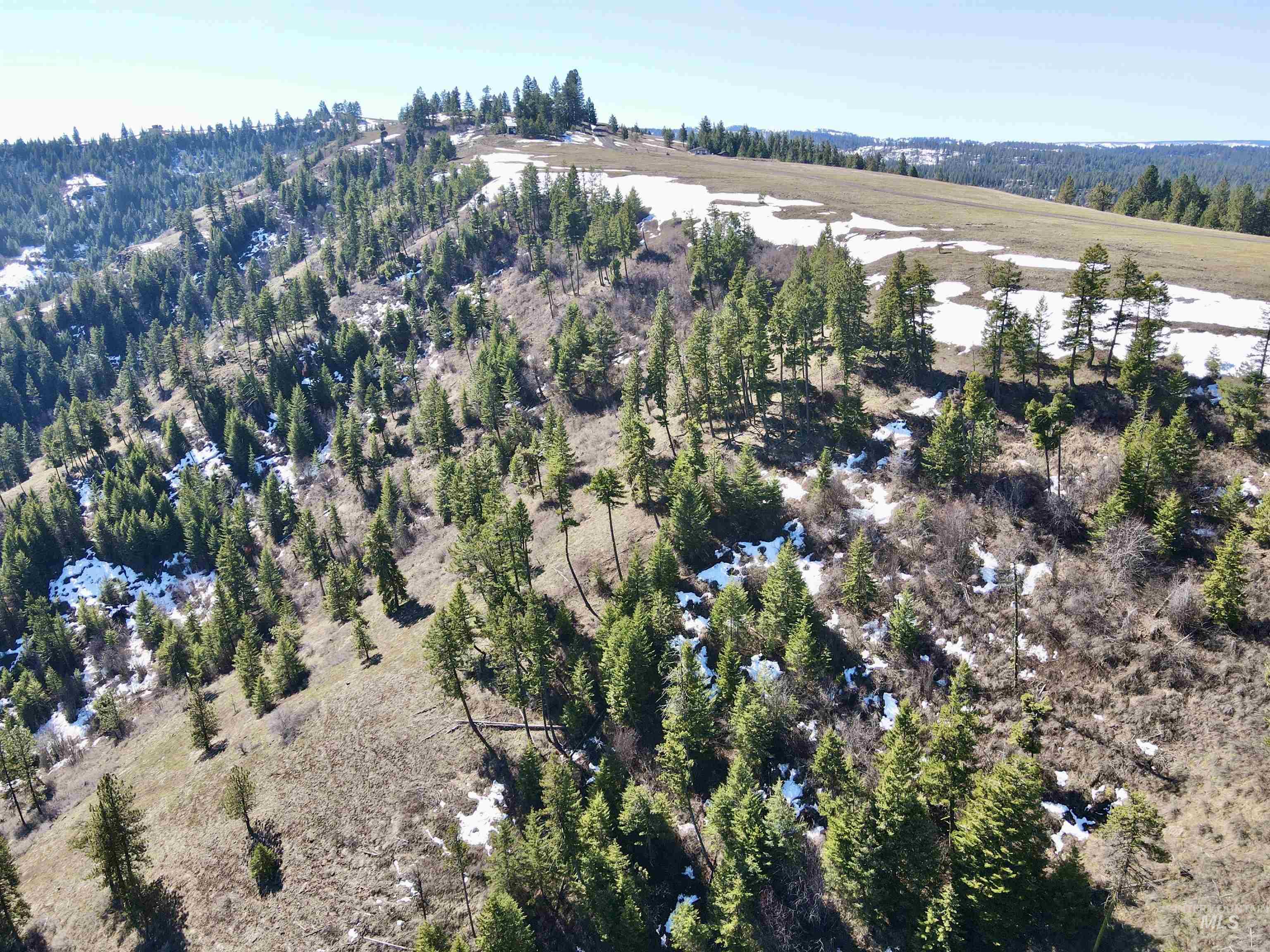 TBD Lot 50 Twin River Ranch III, White Bird, Idaho 83554, Land For Sale, Price $147,000, 98905437