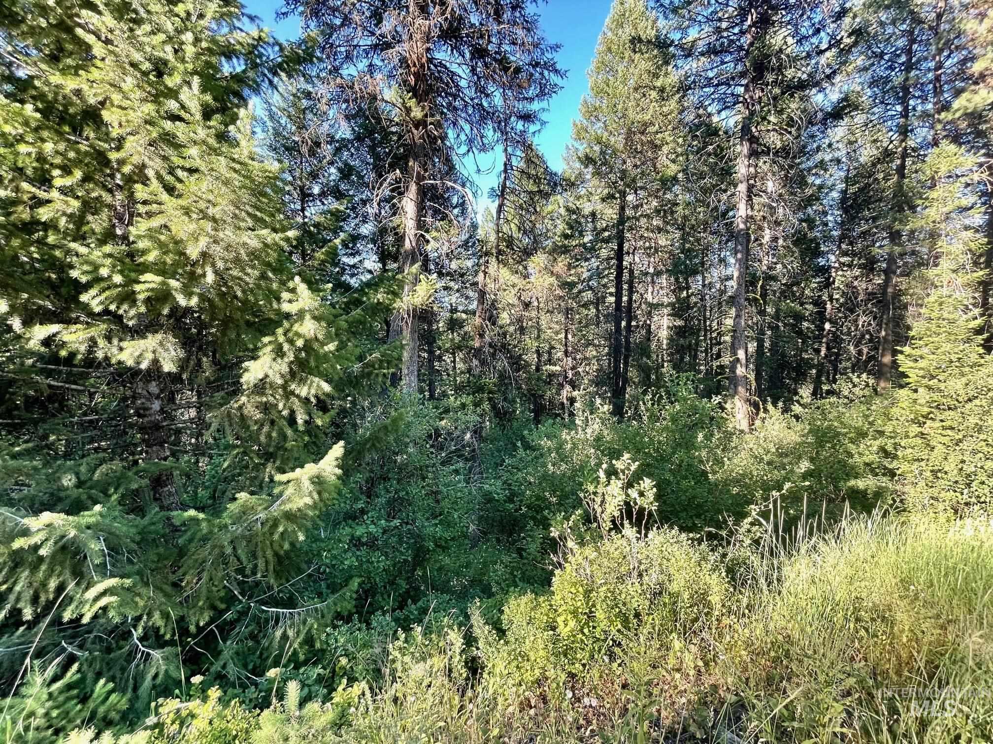 TBD Thistle Down Rd, New Meadows, Idaho 83654, Land For Sale, Price $68,000,MLS 98905900