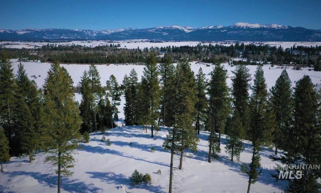 Lot 1 Bella View Drive, McCall, Idaho 83638, Land For Sale, Price $385,000, 98905943