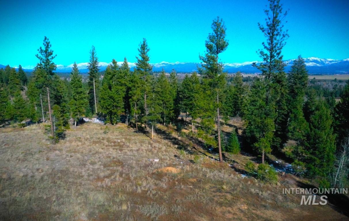 Lot 1 Bella View Drive, McCall, Idaho 83638, Land For Sale, Price $385,000, 98905943