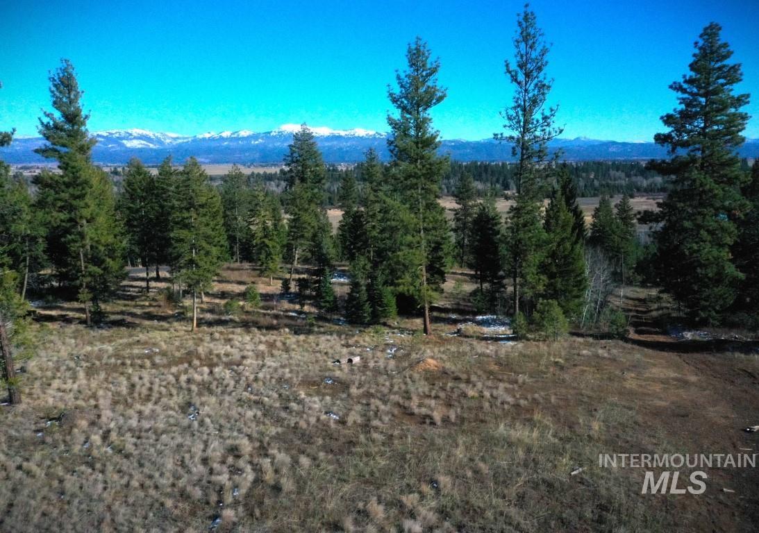 Lot 1 Bella View Drive, McCall, Idaho 83638, Land For Sale, Price $385,000, 98905943