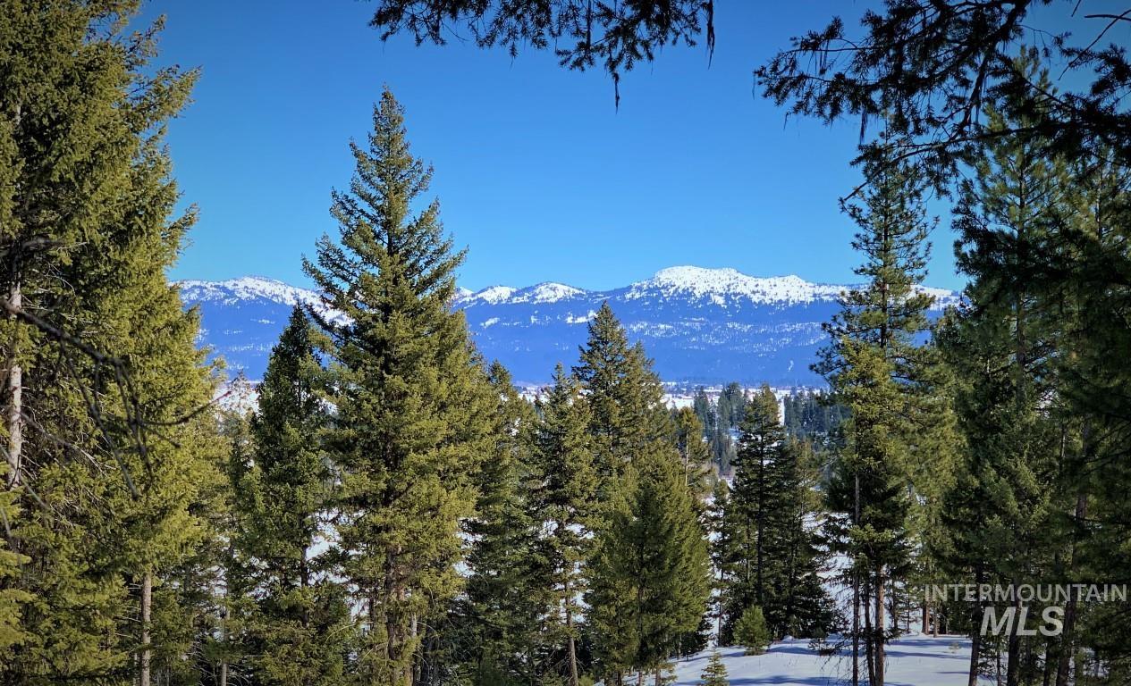 Lot 3 Bella View Drive, McCall, Idaho 83638, Land For Sale, Price $395,000, 98905950