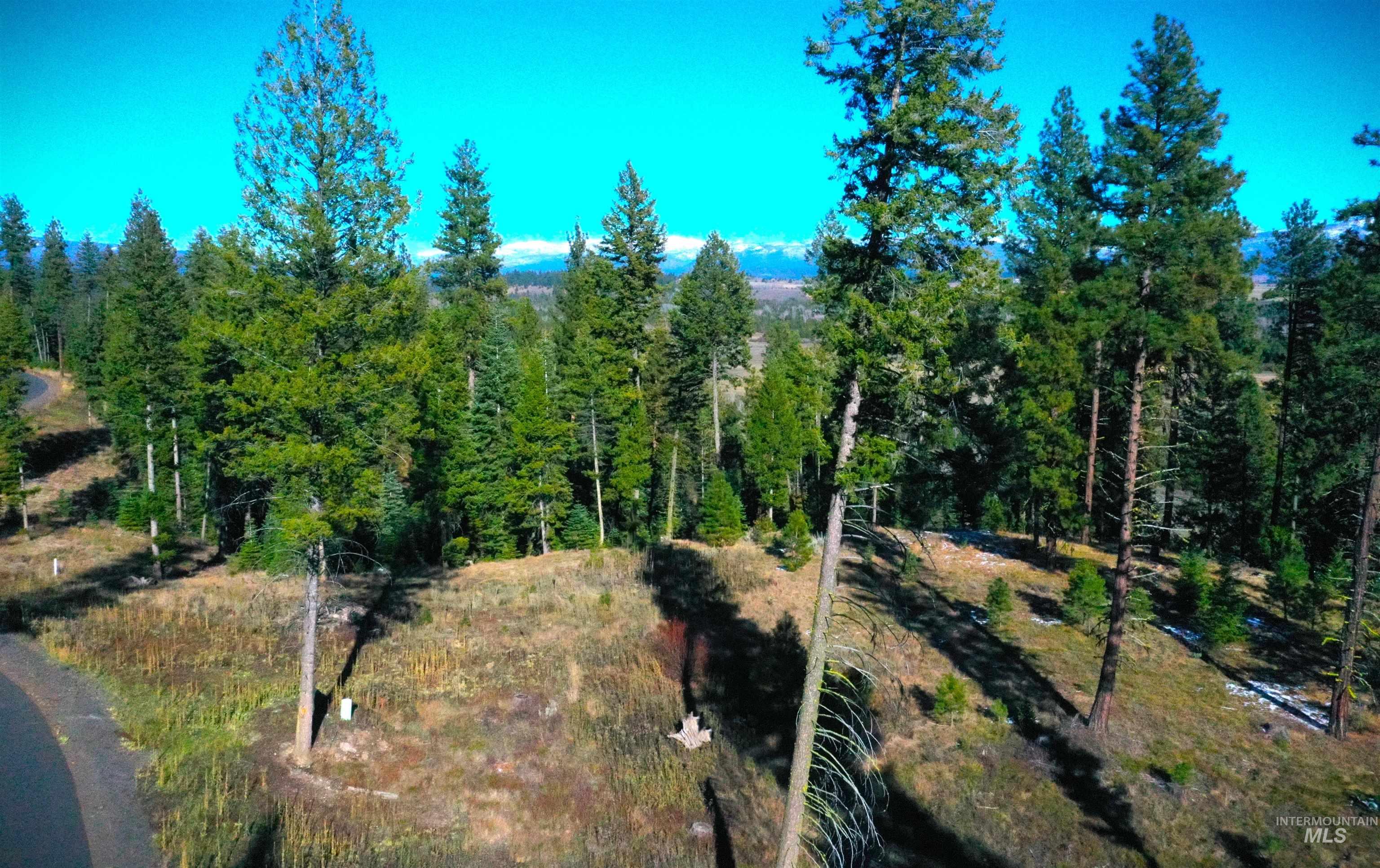 Lot 3 Bella View Drive, McCall, Idaho 83638, Land For Sale, Price $395,000, 98905950