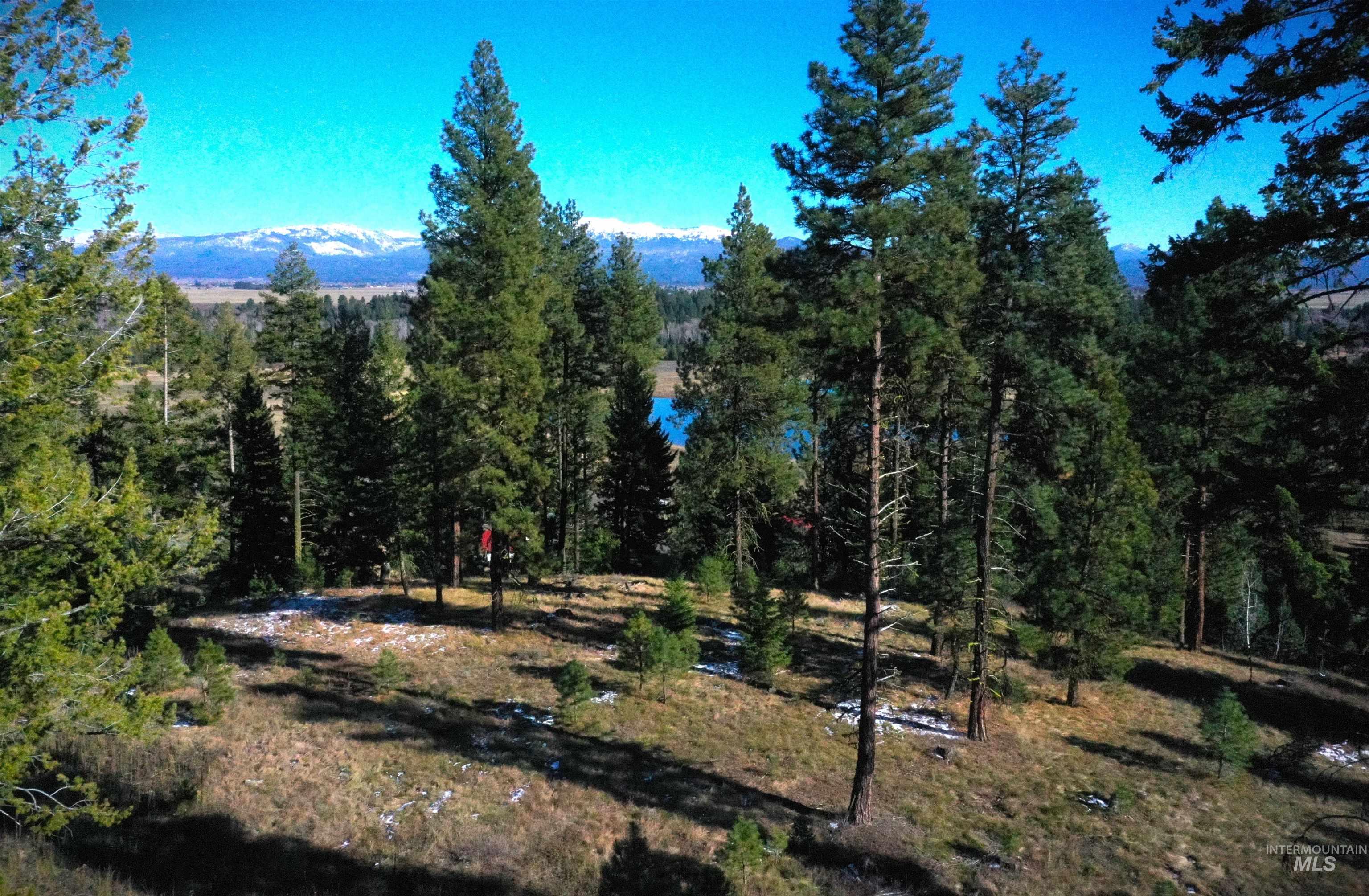Lot 3 Bella View Drive, McCall, Idaho 83638, Land For Sale, Price $395,000, 98905950
