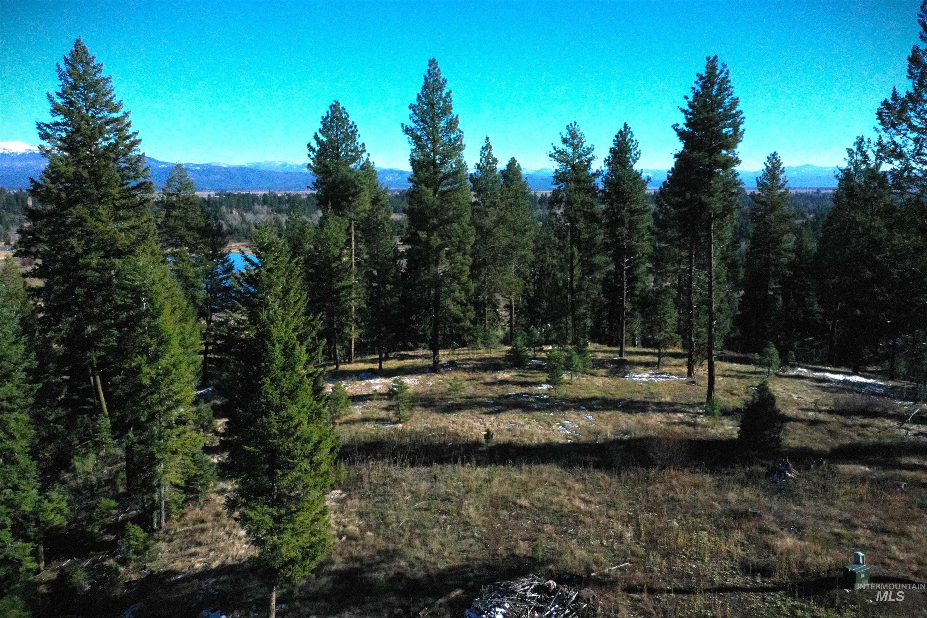 Lot 3 Bella View Drive, McCall, Idaho 83638, Land For Sale, Price $395,000, 98905950