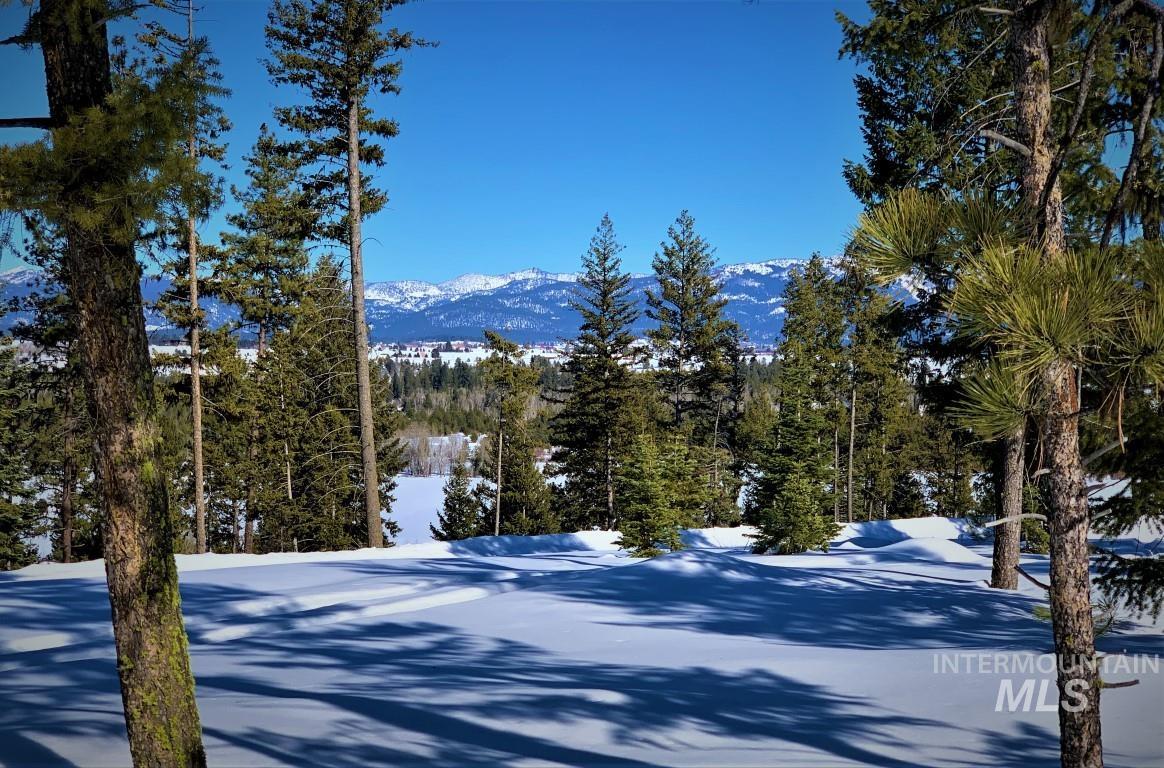 Lot 6 Bella View Drive, McCall, Idaho 83638, Land For Sale, Price $285,000, 98905952