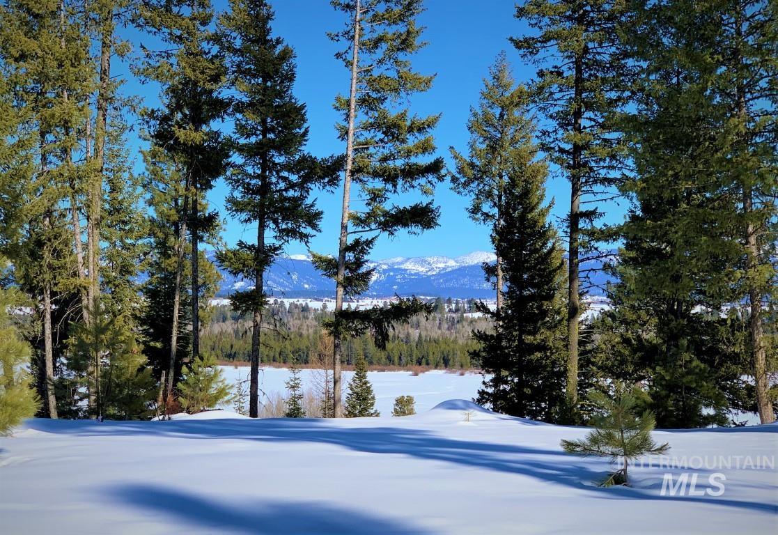 Lot 6 Bella View Drive, McCall, Idaho 83638, Land For Sale, Price $285,000,MLS 98905952