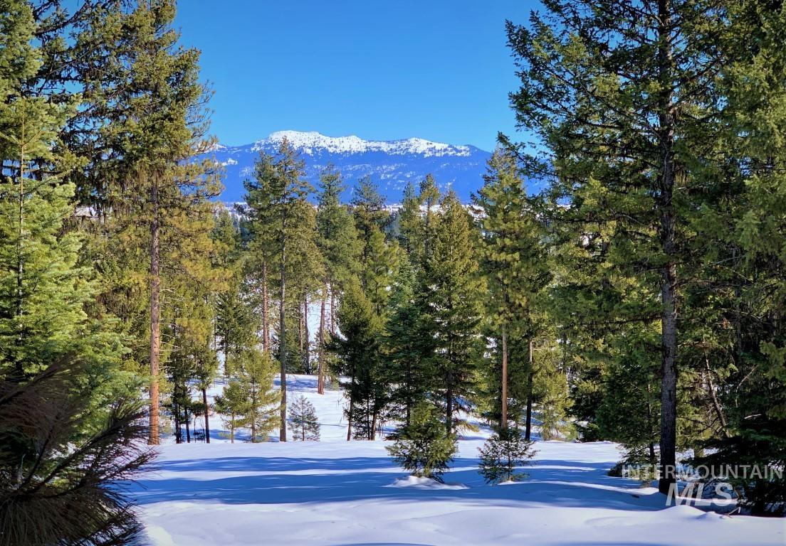 Lot 6 Bella View Drive, McCall, Idaho 83638, Land For Sale, Price $285,000, 98905952