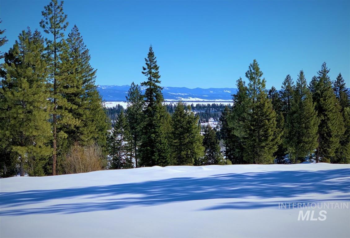 Lot 9 Bella View Drive, McCall, Idaho 83638, Land For Sale, Price $295,000,MLS 98905963