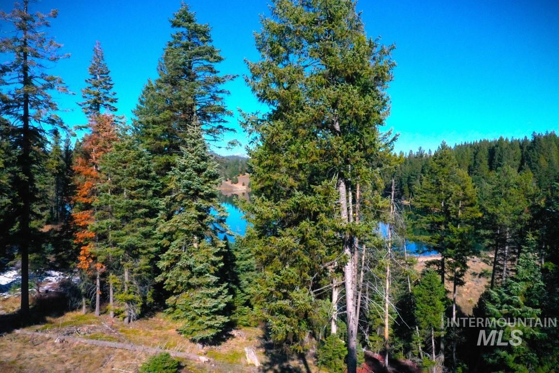 Lot 12 Blackhawk Lake Drive, McCall, Idaho 83638, Land For Sale, Price $335,000,MLS 98905964