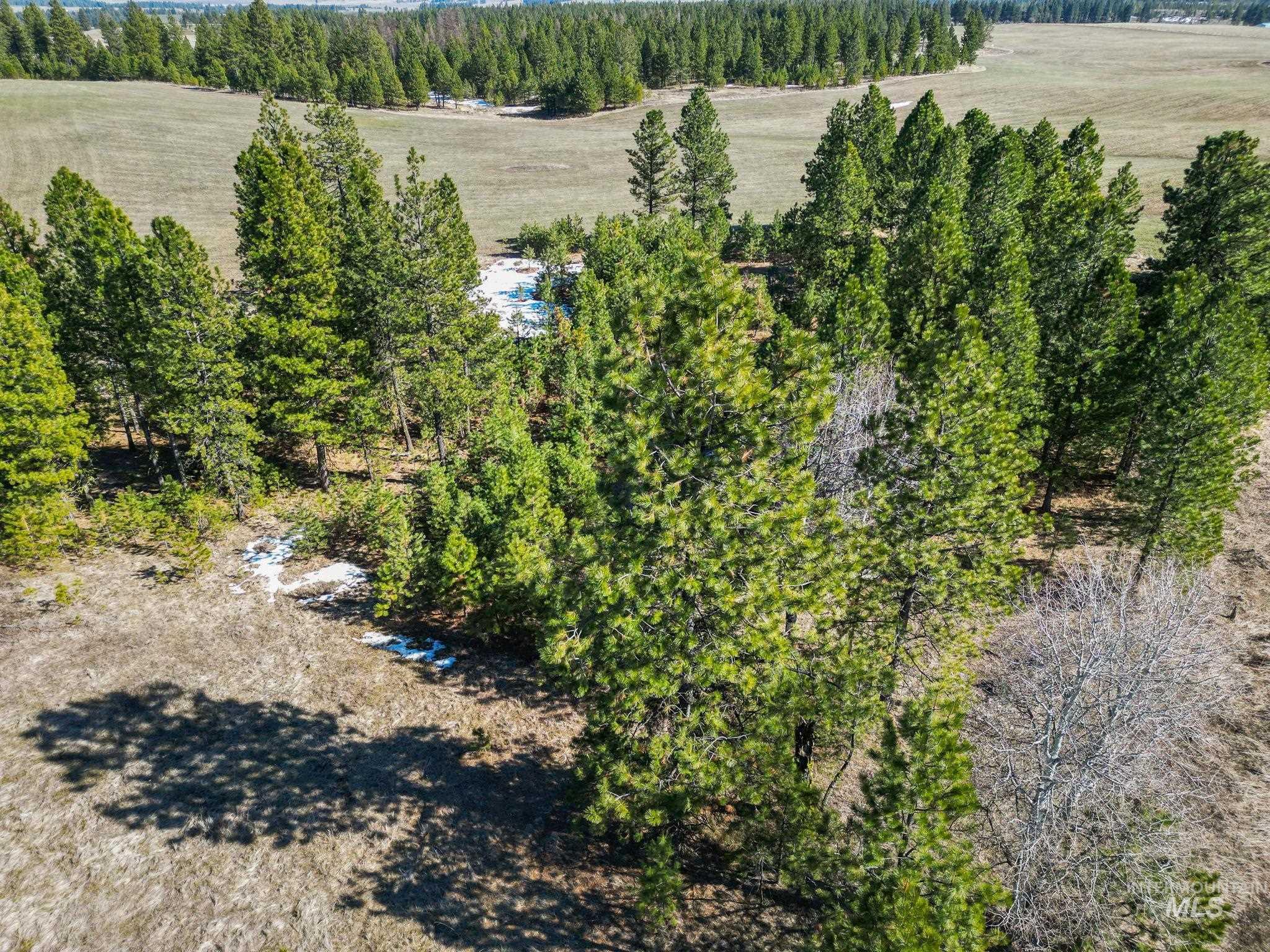 NKA Morrowtown RD, Craigmont, Idaho 83523, Farm & Ranch For Sale, Price $725,000,MLS 98906011