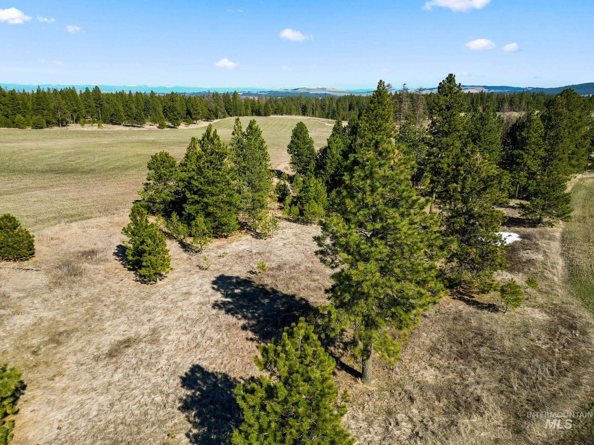 NKA Morrowtown RD, Craigmont, Idaho 83523, Farm & Ranch For Sale, Price $725,000,MLS 98906011