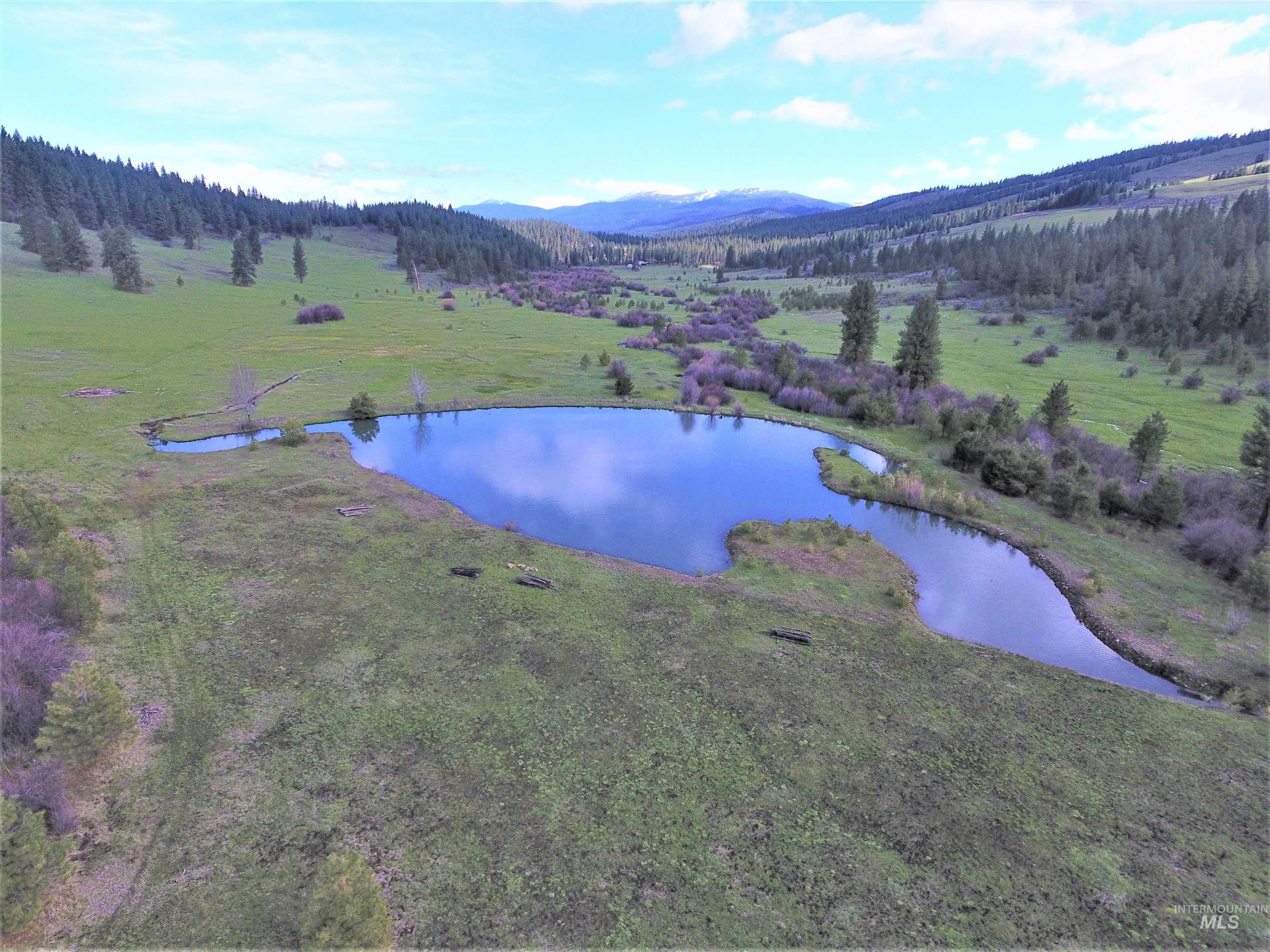 2950 & 3000 Fish Lake Road, New Meadows, Idaho 83654, 2 Bedrooms, 2 Bathrooms, Residential For Sale, Price $4,300,000, 98906466
