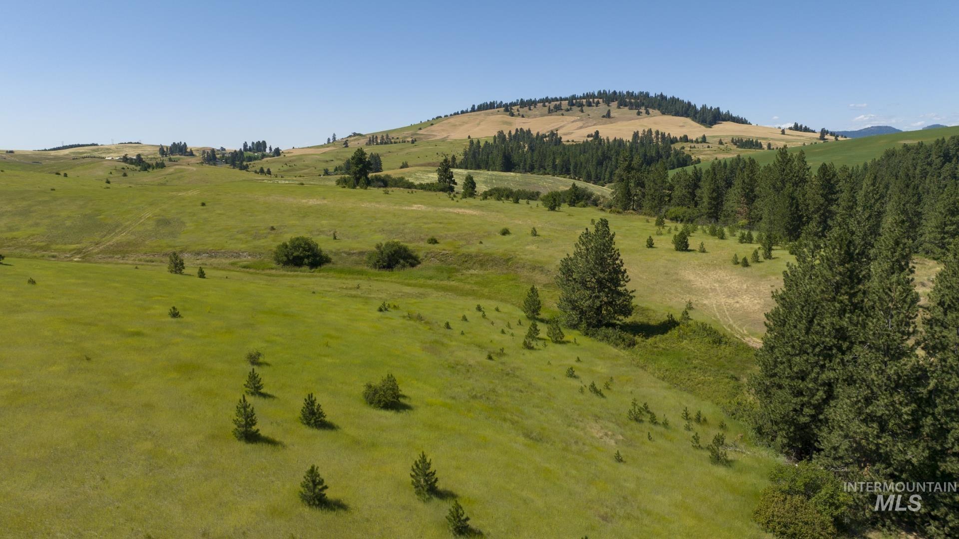 TBD Parcel # 1 Lenville, Moscow, Idaho 83843, Land For Sale, Price $408,295,MLS 98906675