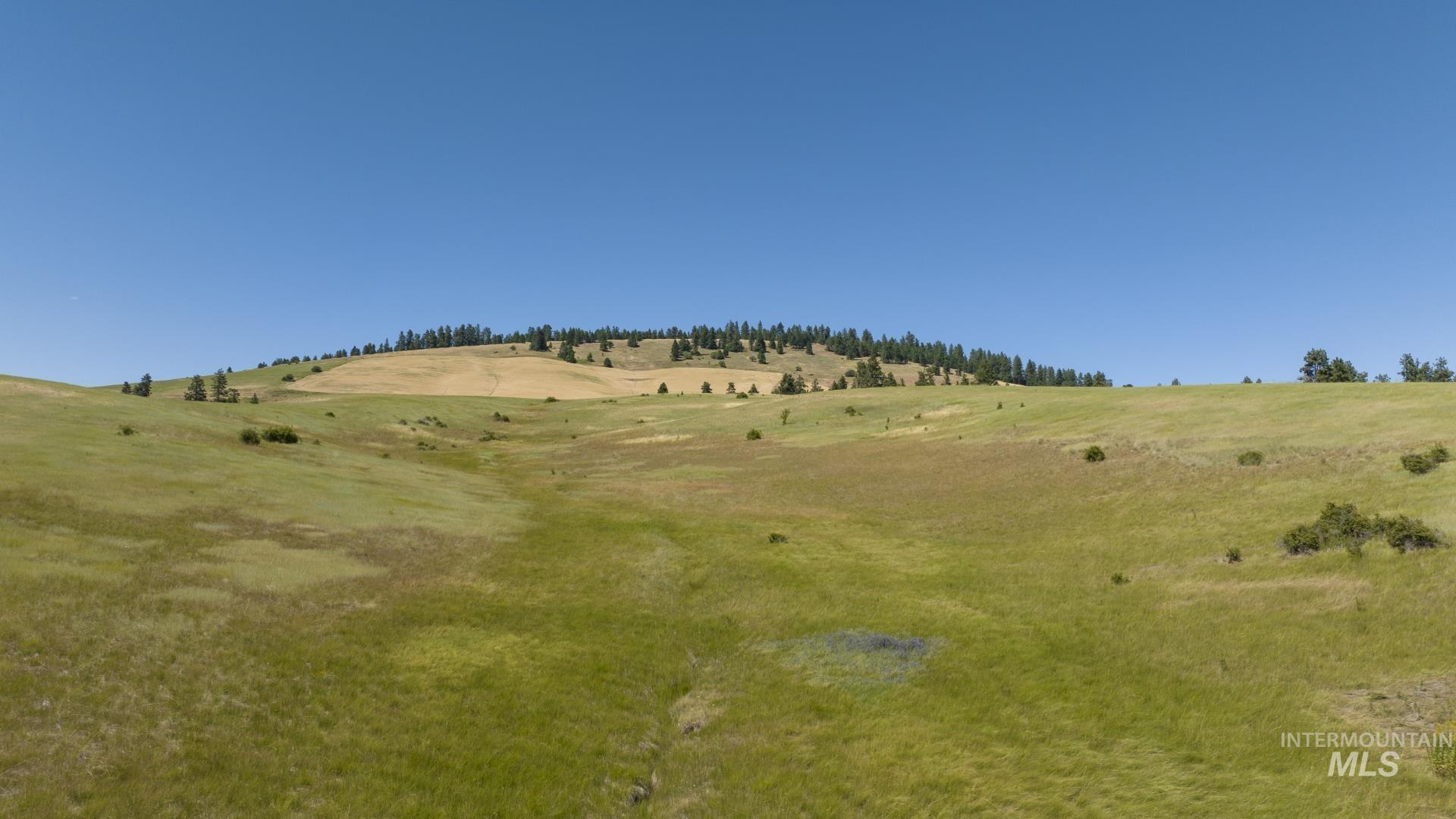 TBD Parcel # 1 Lenville, Moscow, Idaho 83843, Land For Sale, Price $408,295,MLS 98906675