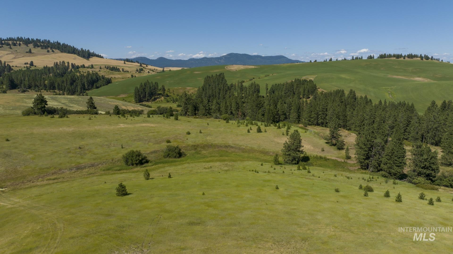TBD Parcel # 2 Lenville, Moscow, Idaho 83843, Land For Sale, Price $472,305,MLS 98906677