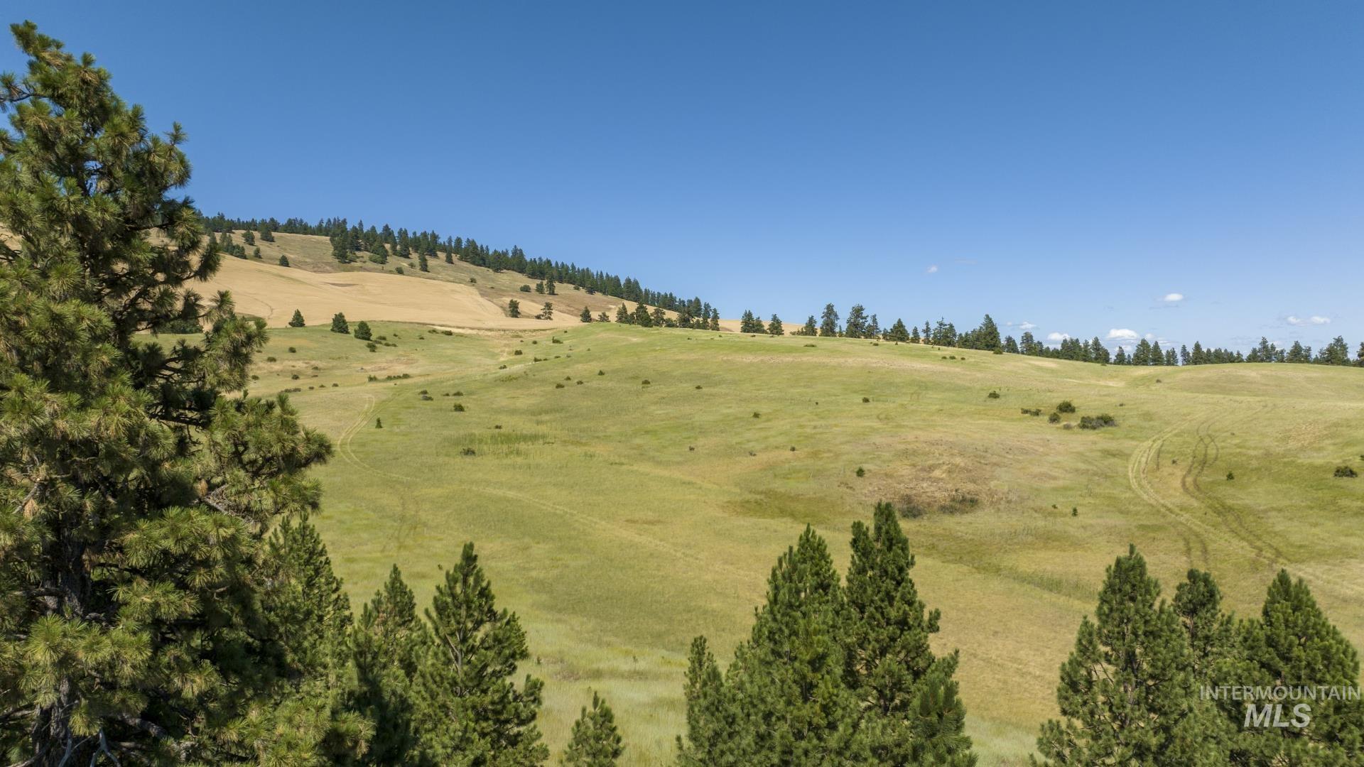TBD Parcel # 3 Lenville, Moscow, Idaho 83843, Land For Sale, Price $553,350,MLS 98906679