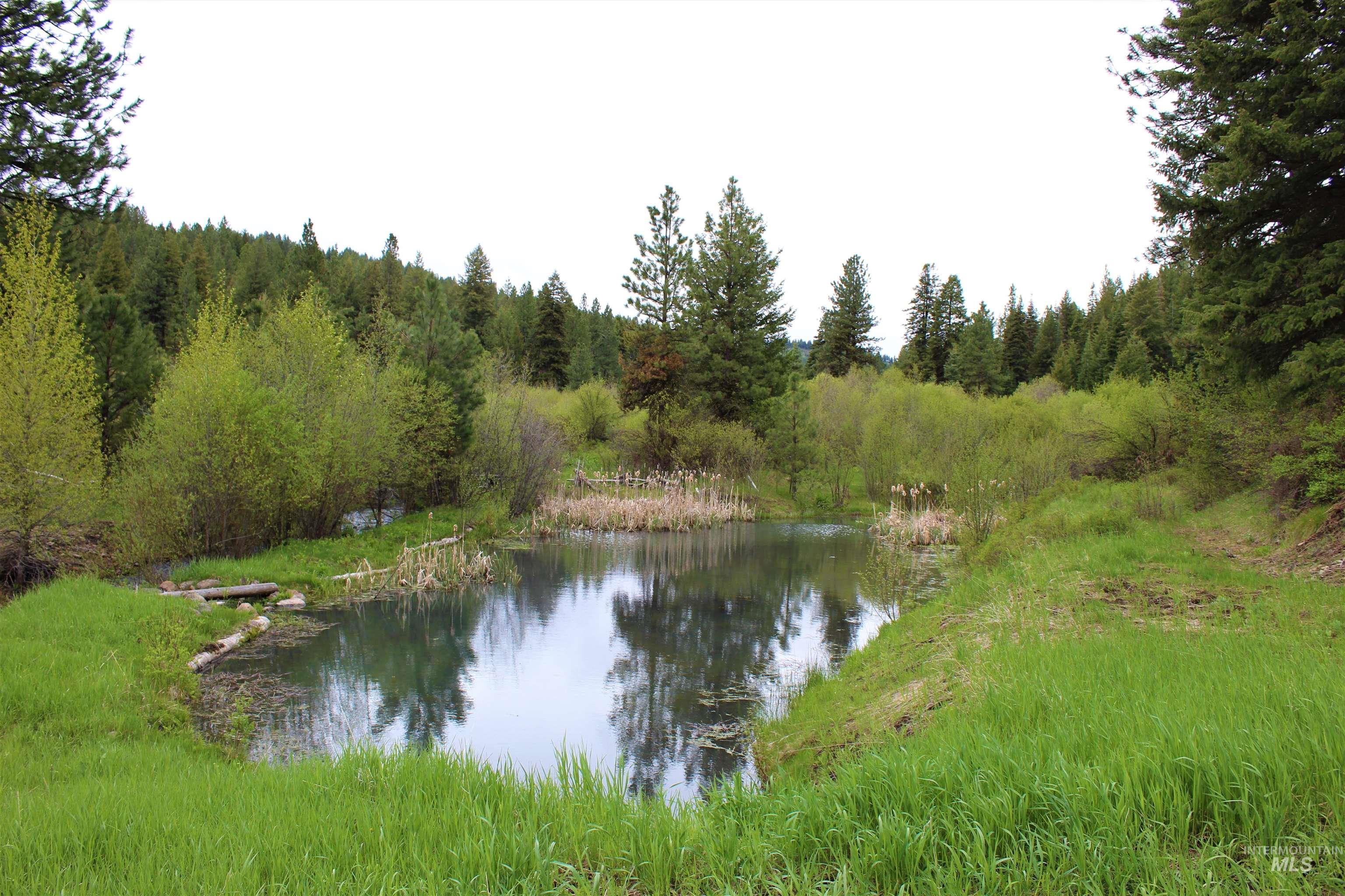 2950 Fish Lake Road, New Meadows, Idaho 83654, 1 Bedroom, 1 Bathroom, Residential For Sale, Price $2,085,000, 98906697