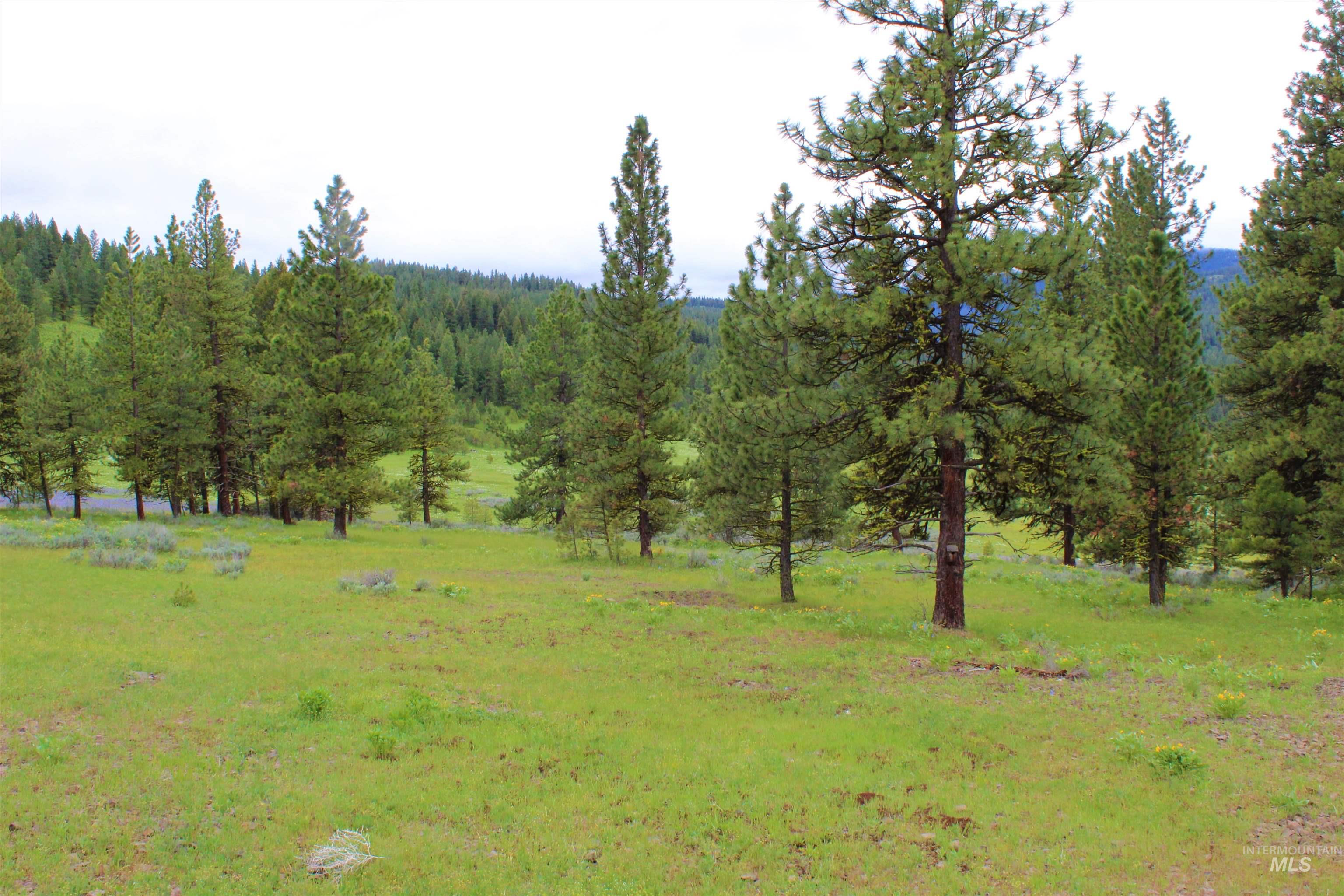 3000 Fish Lake Road, New Meadows, Idaho 83654, 1 Bedroom, 1 Bathroom, Residential For Sale, Price $2,485,000, 98906827