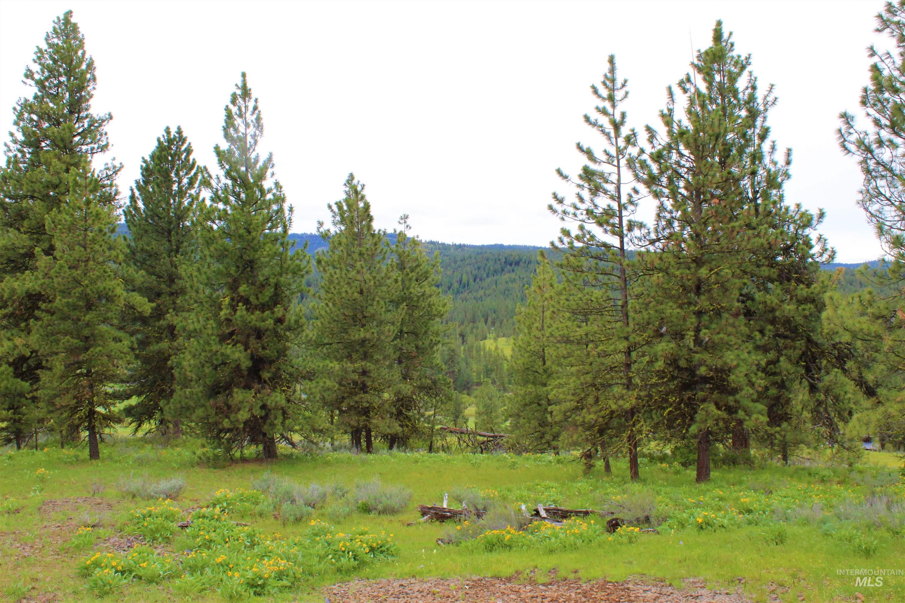 3000 Fish Lake Road, New Meadows, Idaho 83654, 1 Bedroom, 1 Bathroom, Residential For Sale, Price $2,485,000, 98906827