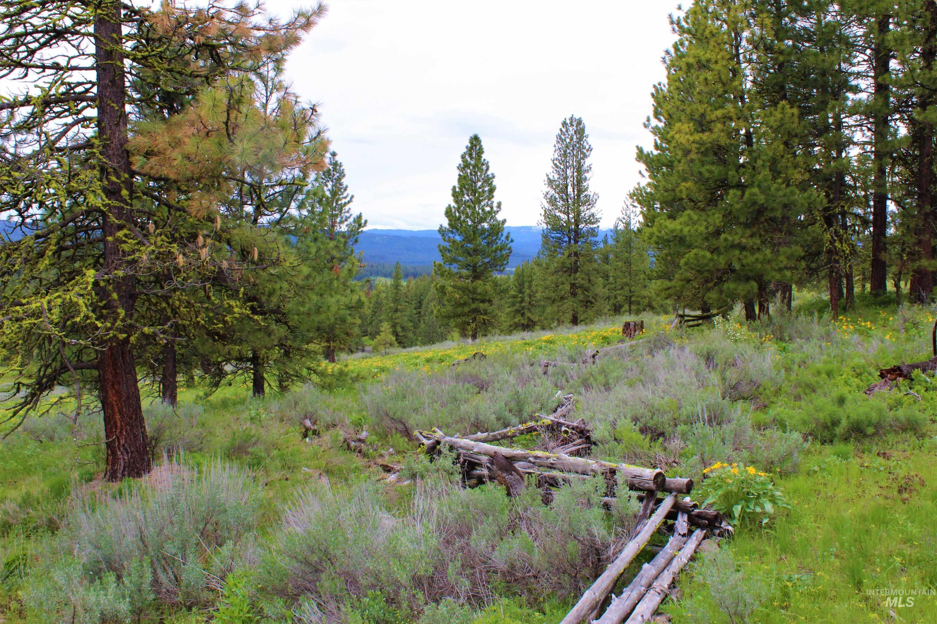 3000 Fish Lake Road, New Meadows, Idaho 83654, 1 Bedroom, 1 Bathroom, Residential For Sale, Price $2,485,000, 98906827