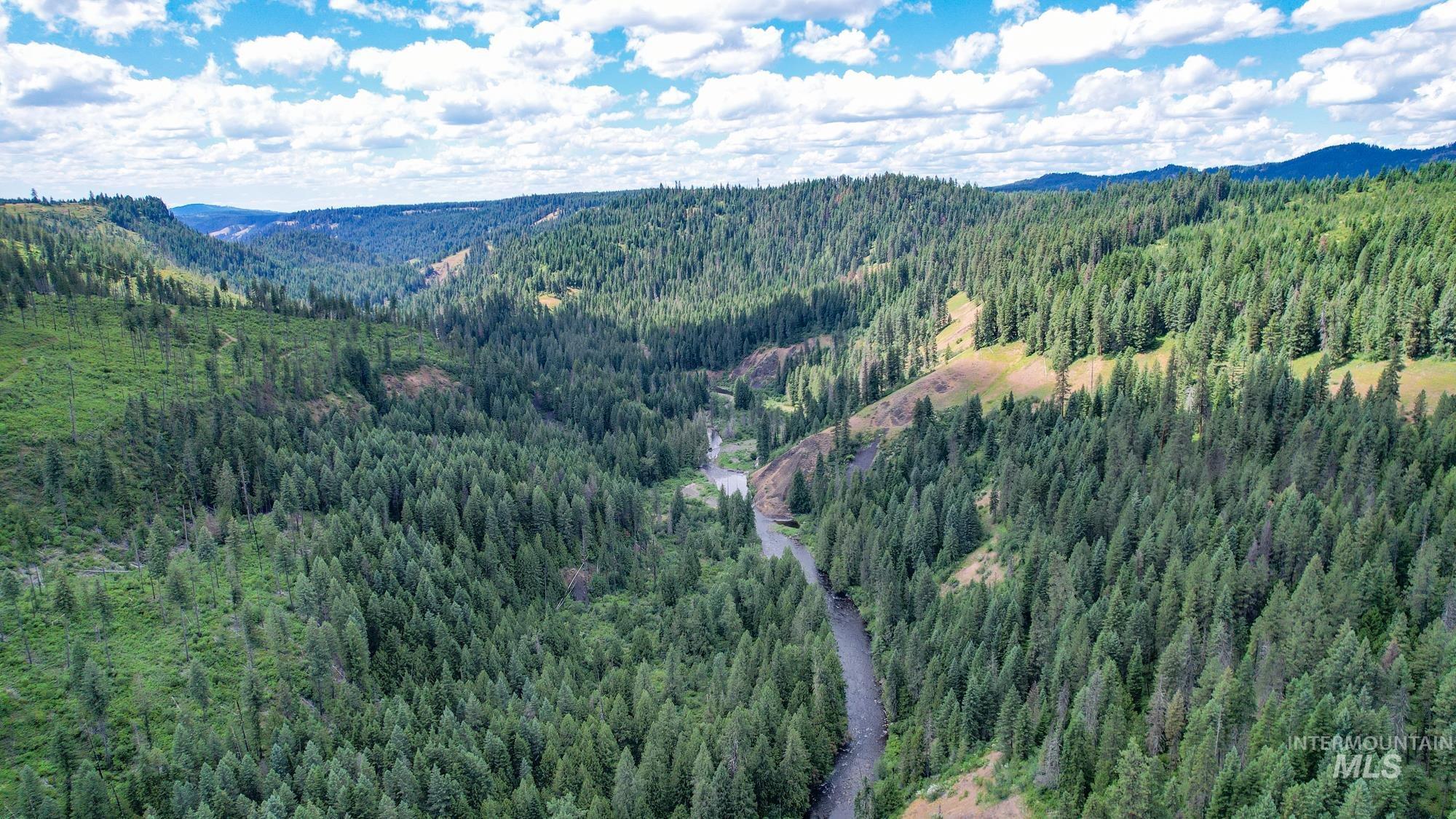 TBD Glenwood Dr, Kamiah, Idaho 83536, Farm & Ranch For Sale, Price $650,000, 98906849