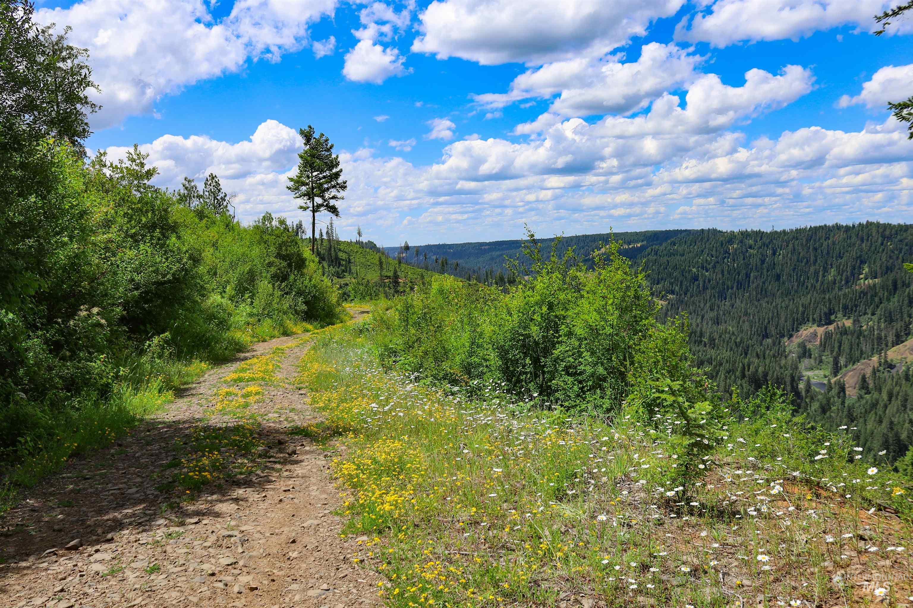 TBD Glenwood Dr, Kamiah, Idaho 83536, Farm & Ranch For Sale, Price $650,000, 98906849