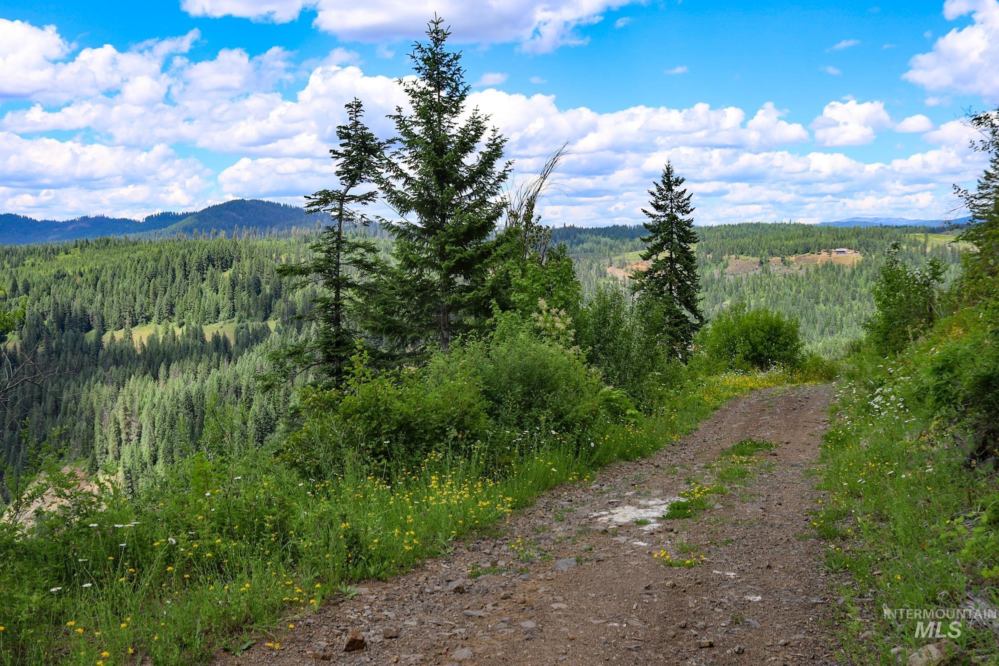 TBD Glenwood Dr, Kamiah, Idaho 83536, Farm & Ranch For Sale, Price $650,000, 98906849