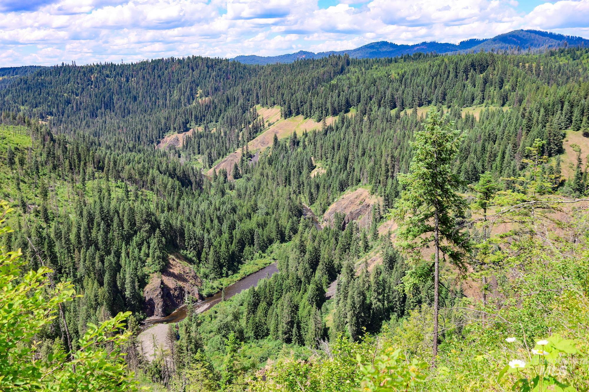 TBD Glenwood Dr, Kamiah, Idaho 83536, Farm & Ranch For Sale, Price $650,000, 98906849