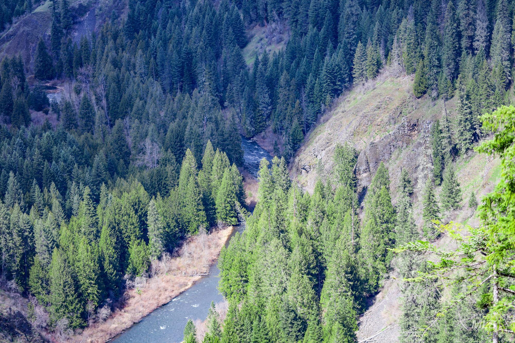 TBD Glenwood Dr, Kamiah, Idaho 83536, Farm & Ranch For Sale, Price $650,000, 98906849