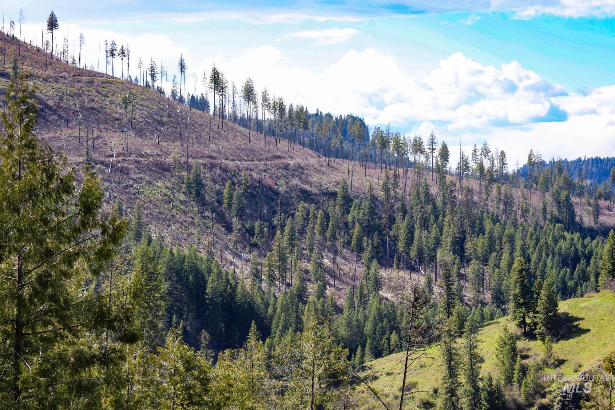 TBD Glenwood Dr, Kamiah, Idaho 83536, Farm & Ranch For Sale, Price $650,000, 98906849