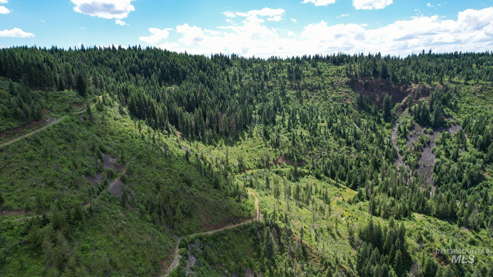 TBD Glenwood Dr, Kamiah, Idaho 83536, Farm & Ranch For Sale, Price $650,000, 98906849
