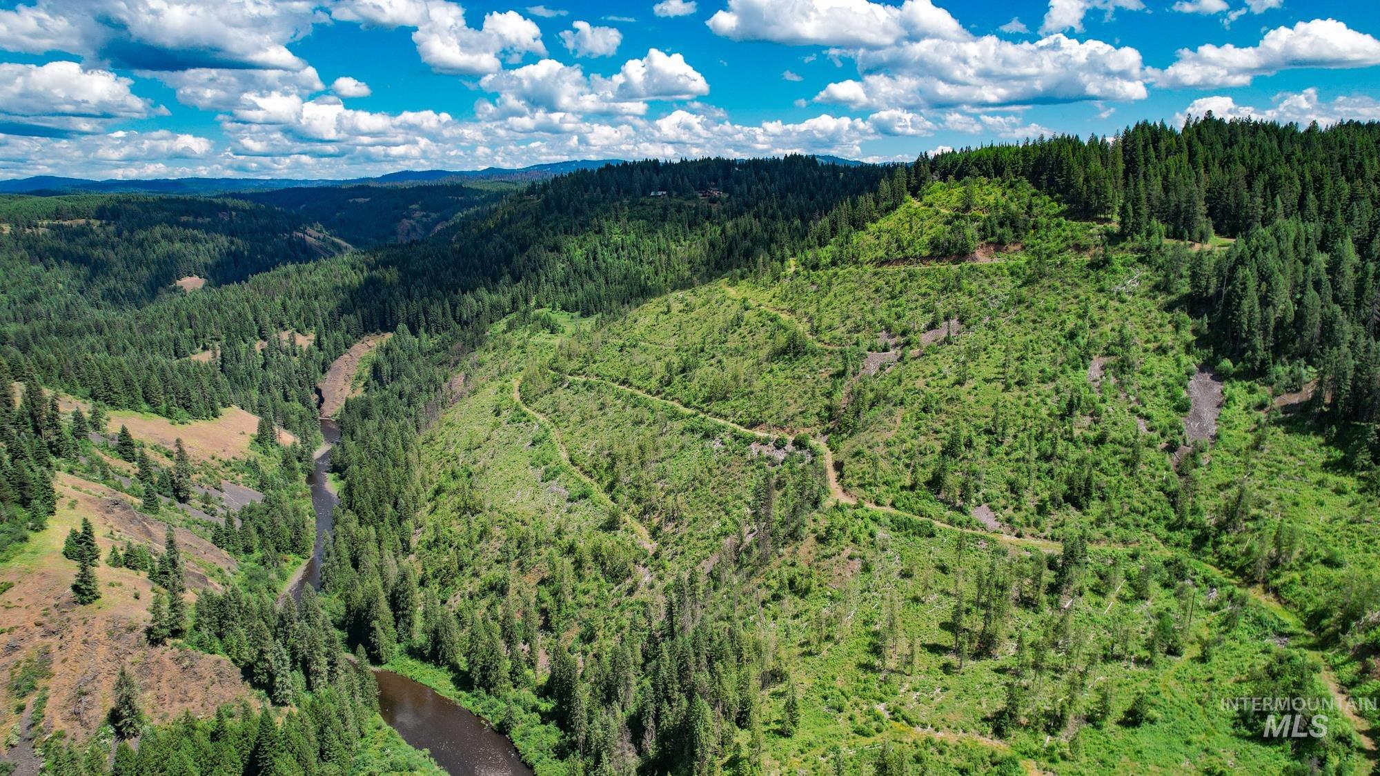 TBD Glenwood Dr, Kamiah, Idaho 83536, Farm & Ranch For Sale, Price $650,000, 98906849