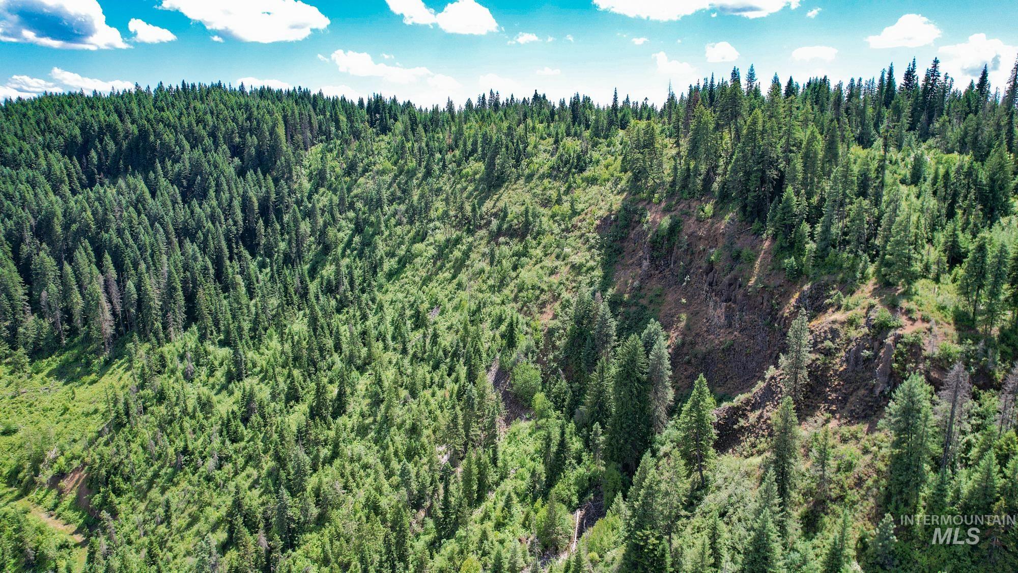 TBD Glenwood Dr, Kamiah, Idaho 83536, Farm & Ranch For Sale, Price $650,000, 98906849