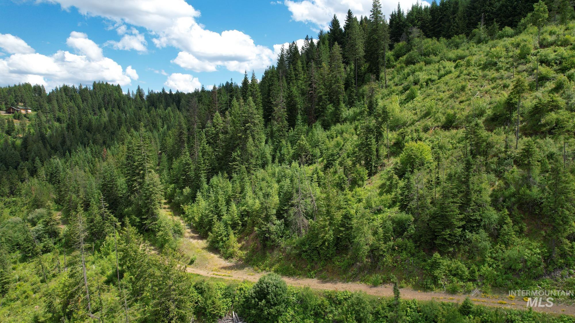 TBD Glenwood Dr, Kamiah, Idaho 83536, Farm & Ranch For Sale, Price $650,000, 98906849