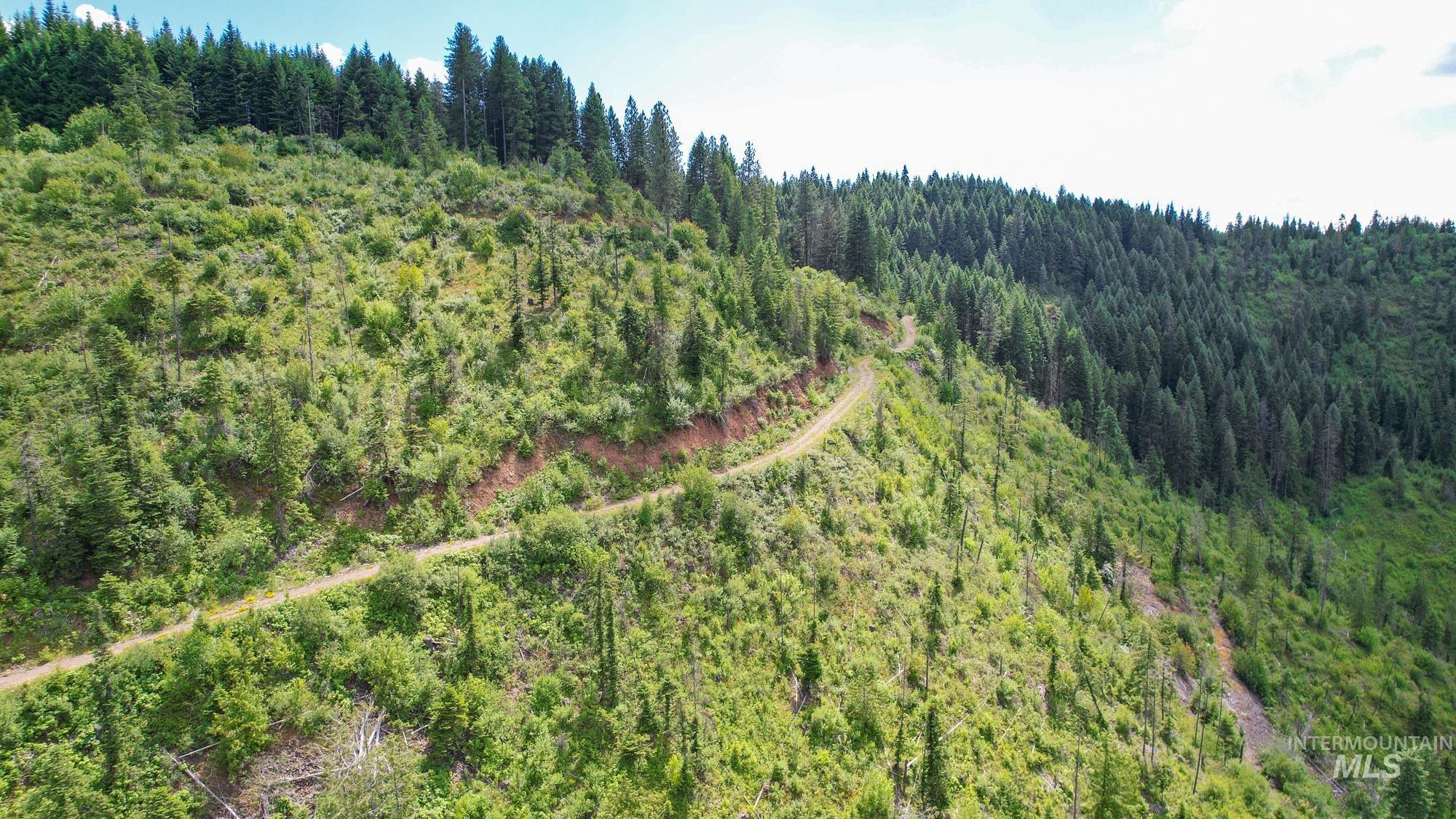 TBD Glenwood Dr, Kamiah, Idaho 83536, Farm & Ranch For Sale, Price $650,000, 98906849