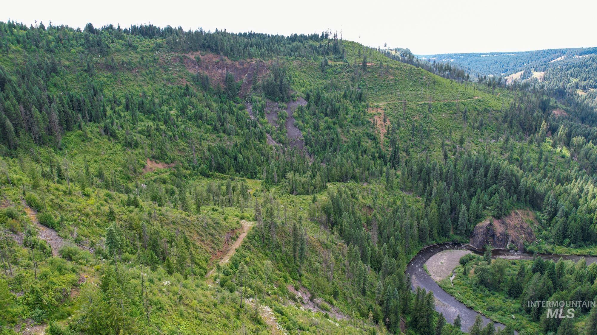 TBD Glenwood Dr, Kamiah, Idaho 83536, Farm & Ranch For Sale, Price $650,000, 98906849