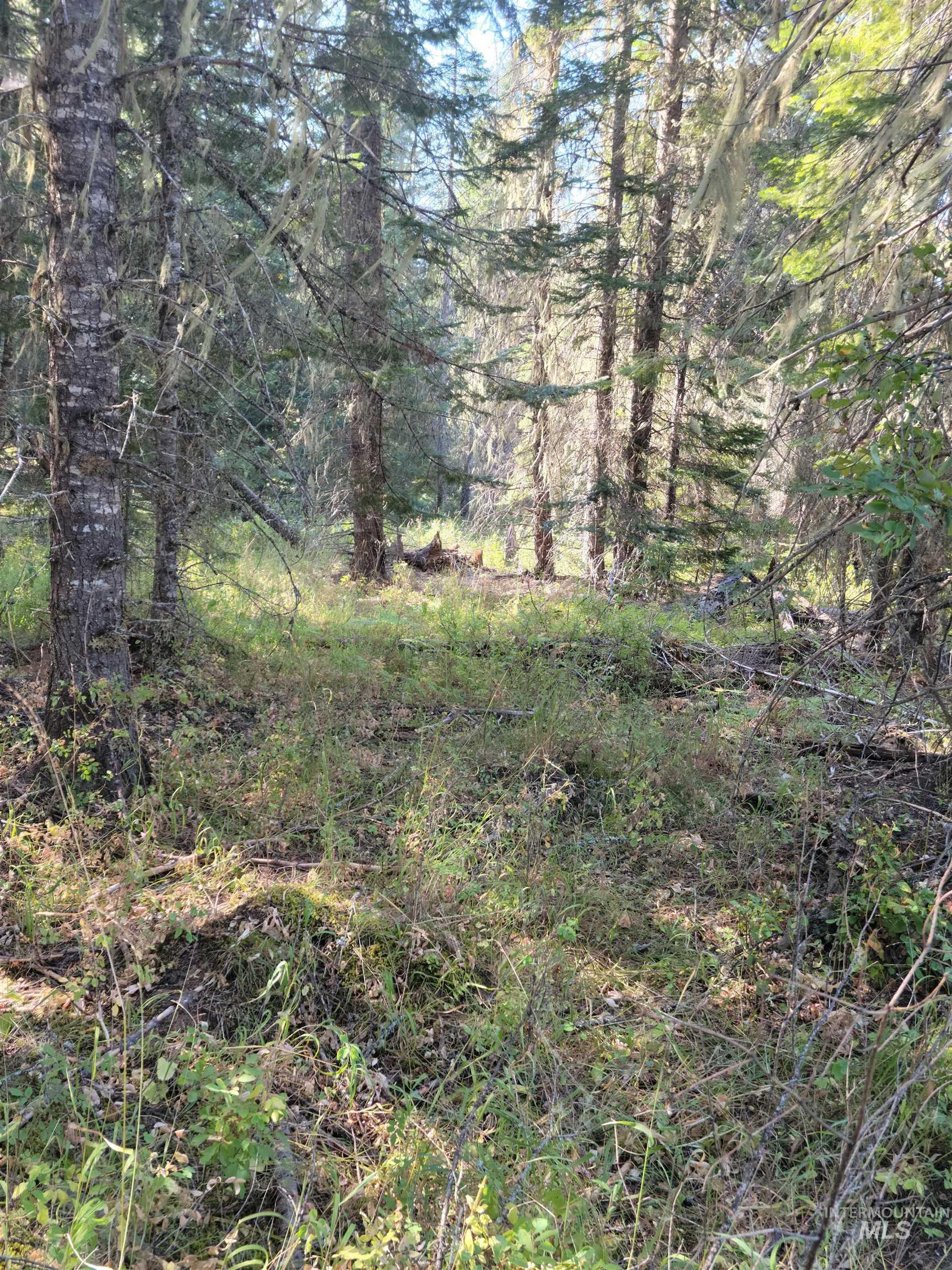 TBD Lacey Meadows Road, Weippe, Idaho 83553, Land For Sale, Price $110,000,MLS 98906875