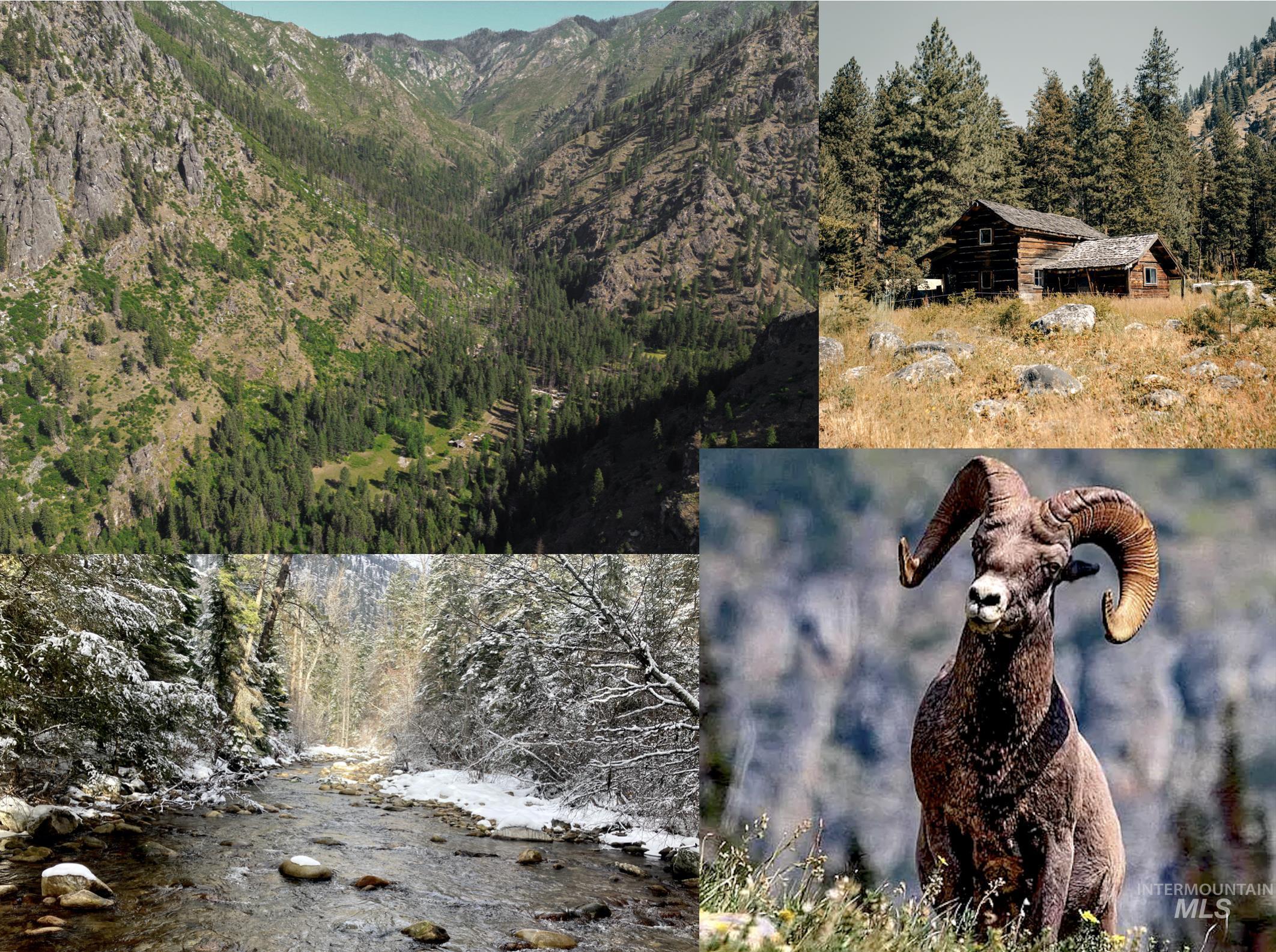 3869 Big Salmon River Rd, Riggins, Idaho 83549, 1 Bedroom, Farm & Ranch For Sale, Price $1,100,000, 98906921
