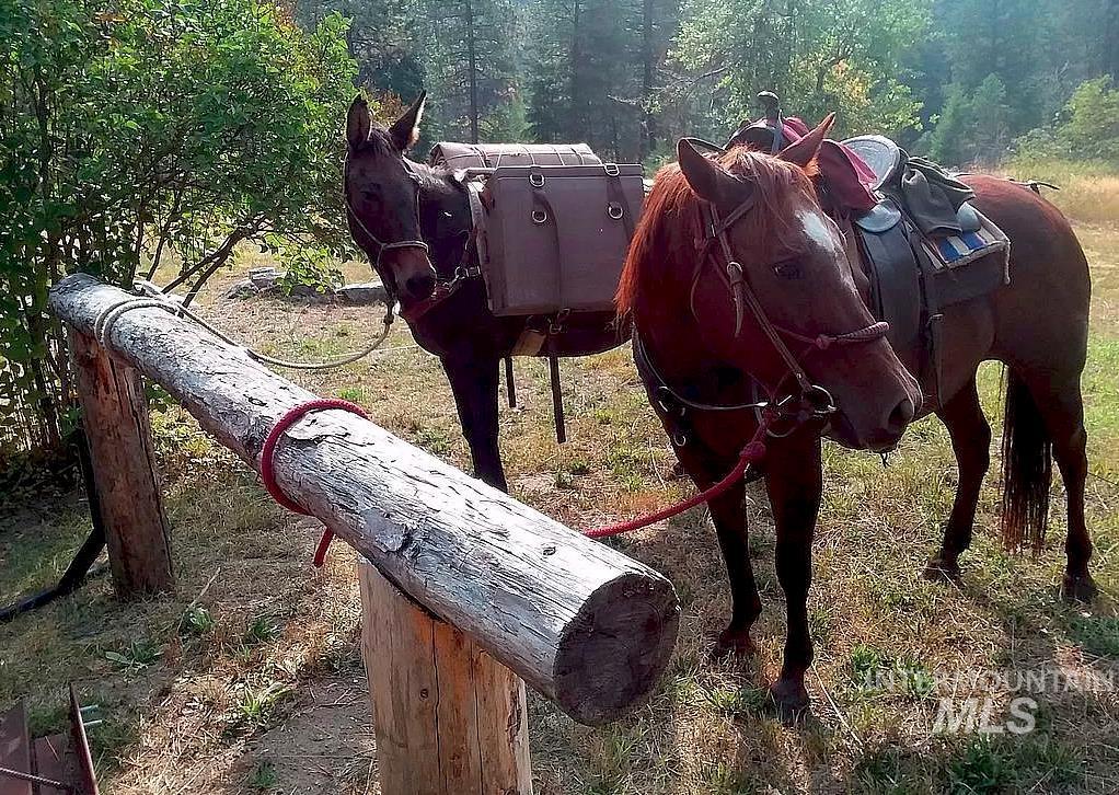 3869 Big Salmon River Rd, Riggins, Idaho 83549, 1 Bedroom, Farm & Ranch For Sale, Price $1,100,000, 98906921