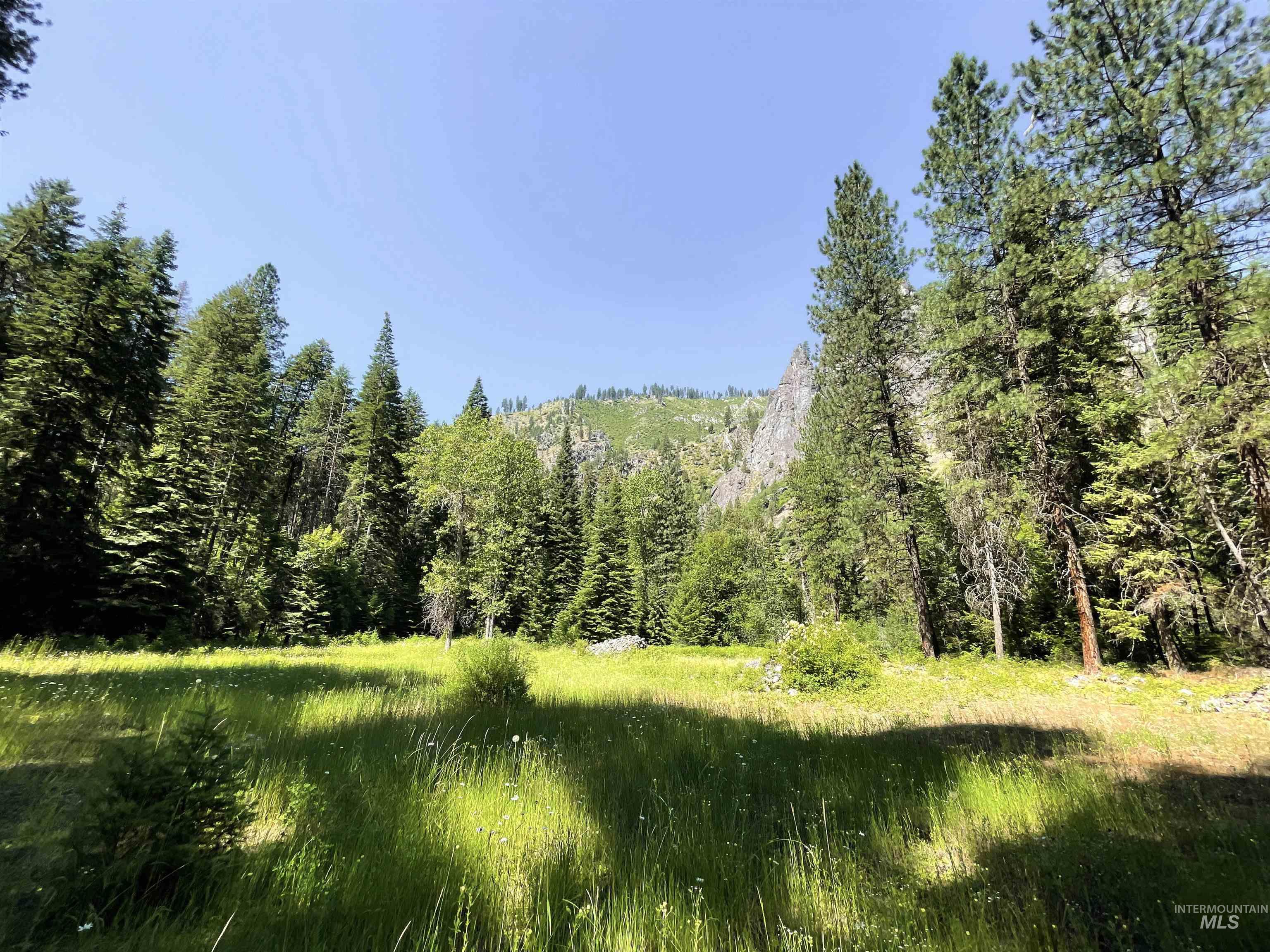 3869 Big Salmon River Rd, Riggins, Idaho 83549, 1 Bedroom, Farm & Ranch For Sale, Price $1,100,000, 98906921