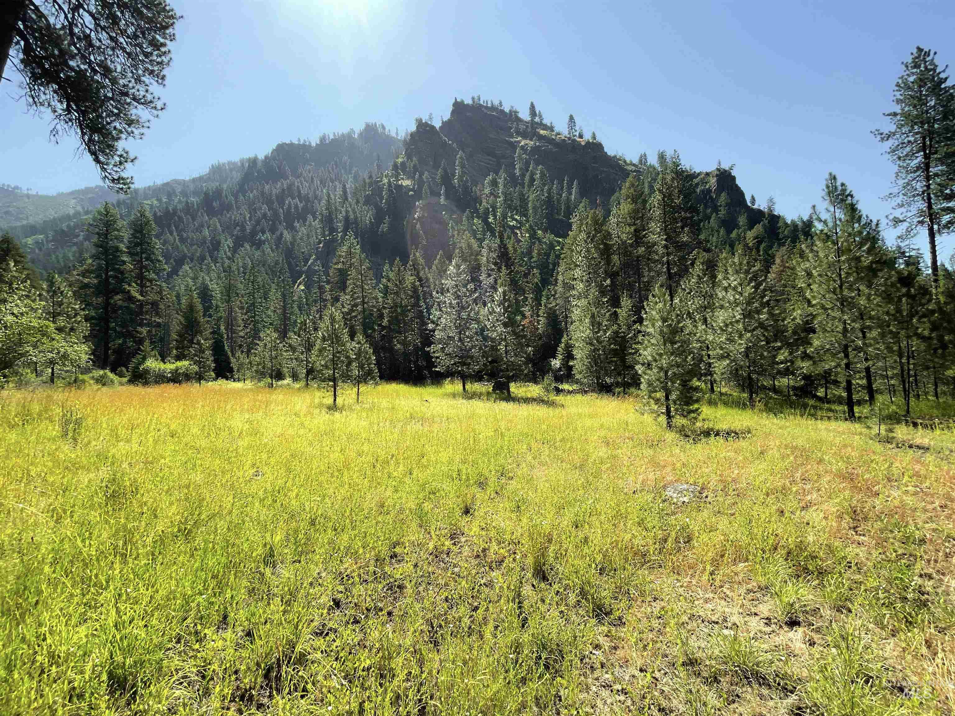 3869 Big Salmon River Rd, Riggins, Idaho 83549, 1 Bedroom, Farm & Ranch For Sale, Price $1,100,000, 98906921