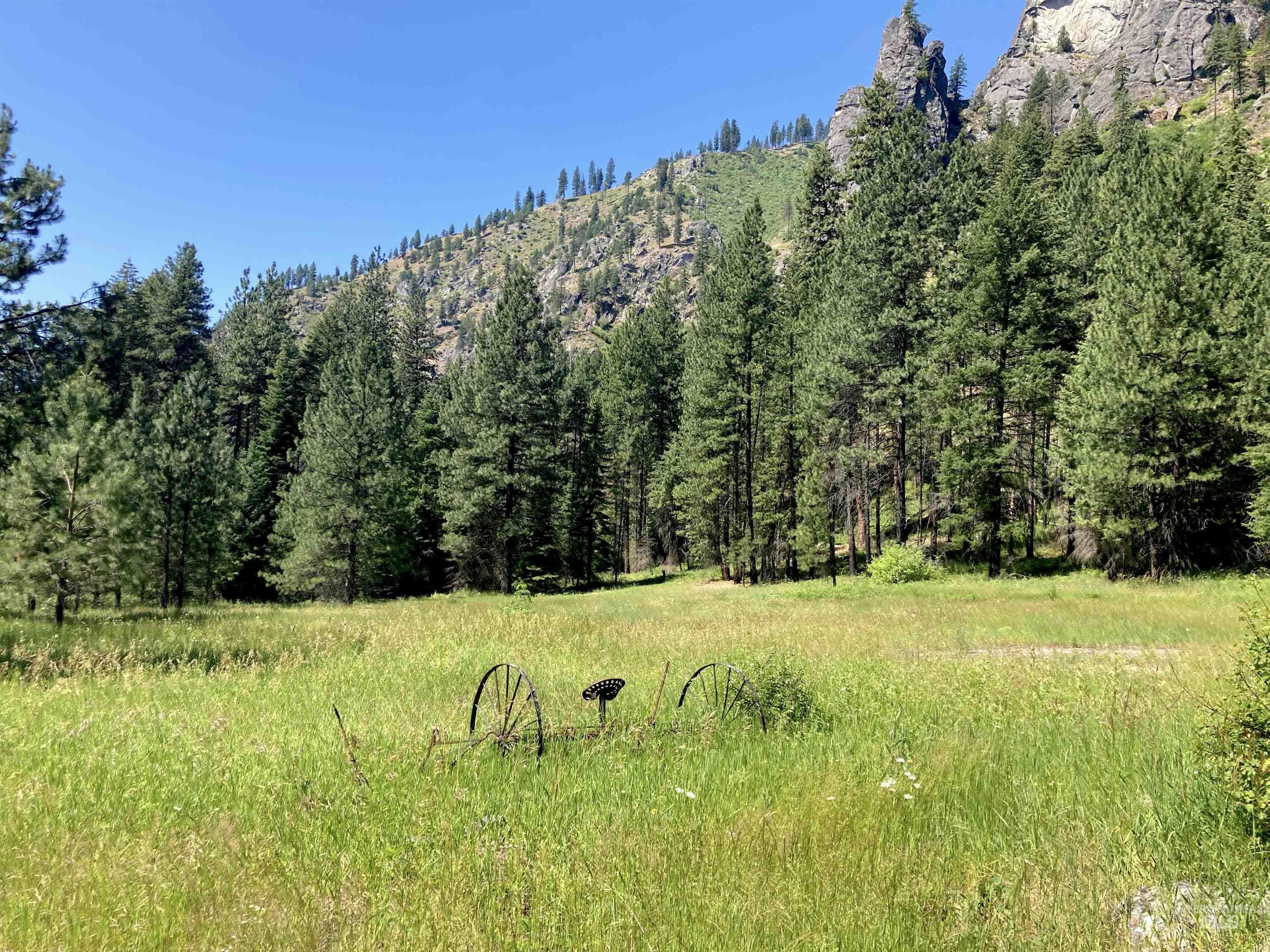3869 Big Salmon River Rd, Riggins, Idaho 83549, 1 Bedroom, Farm & Ranch For Sale, Price $1,100,000, 98906921