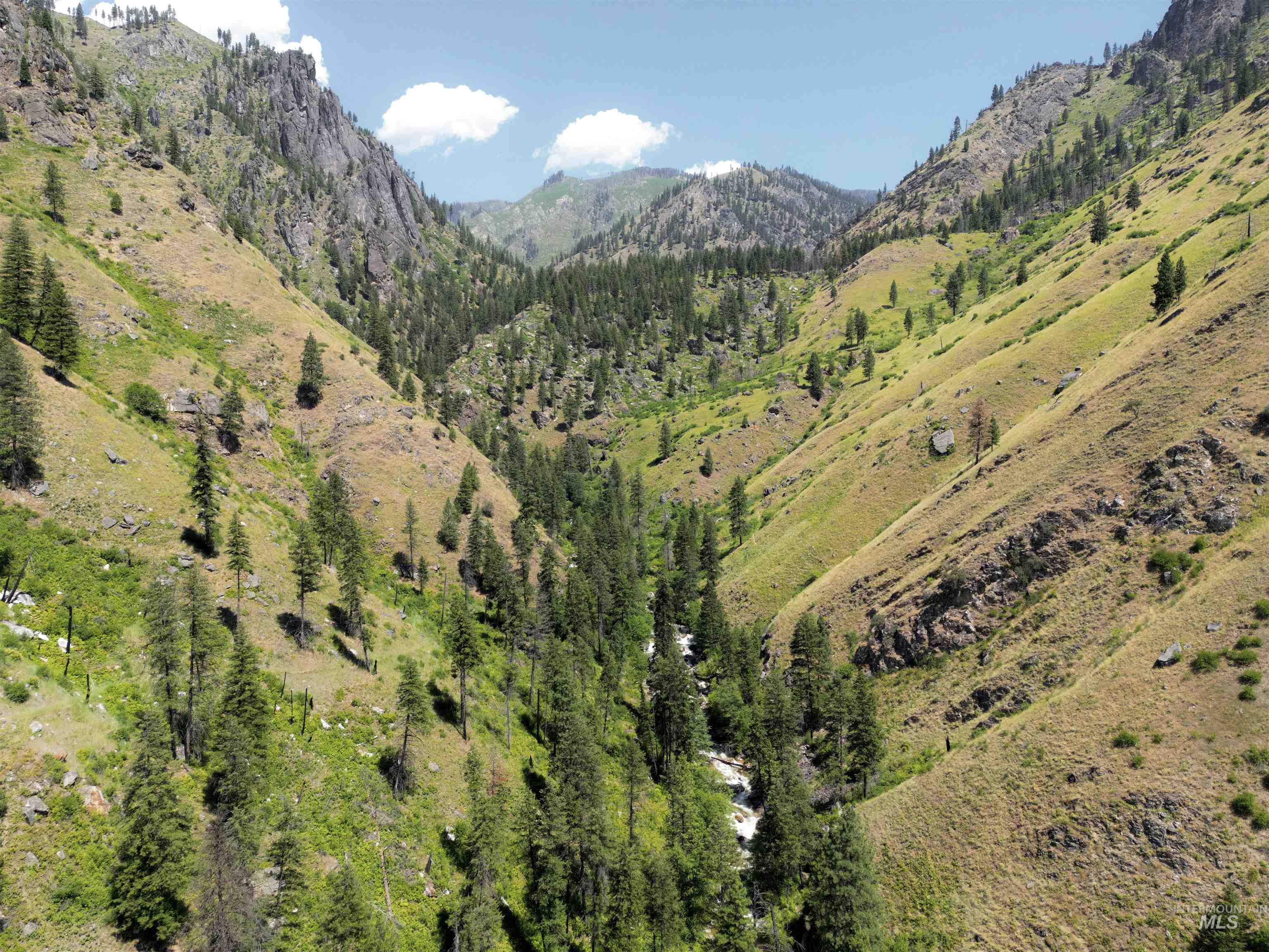 3869 Big Salmon River Rd, Riggins, Idaho 83549, 1 Bedroom, Farm & Ranch For Sale, Price $1,100,000, 98906921